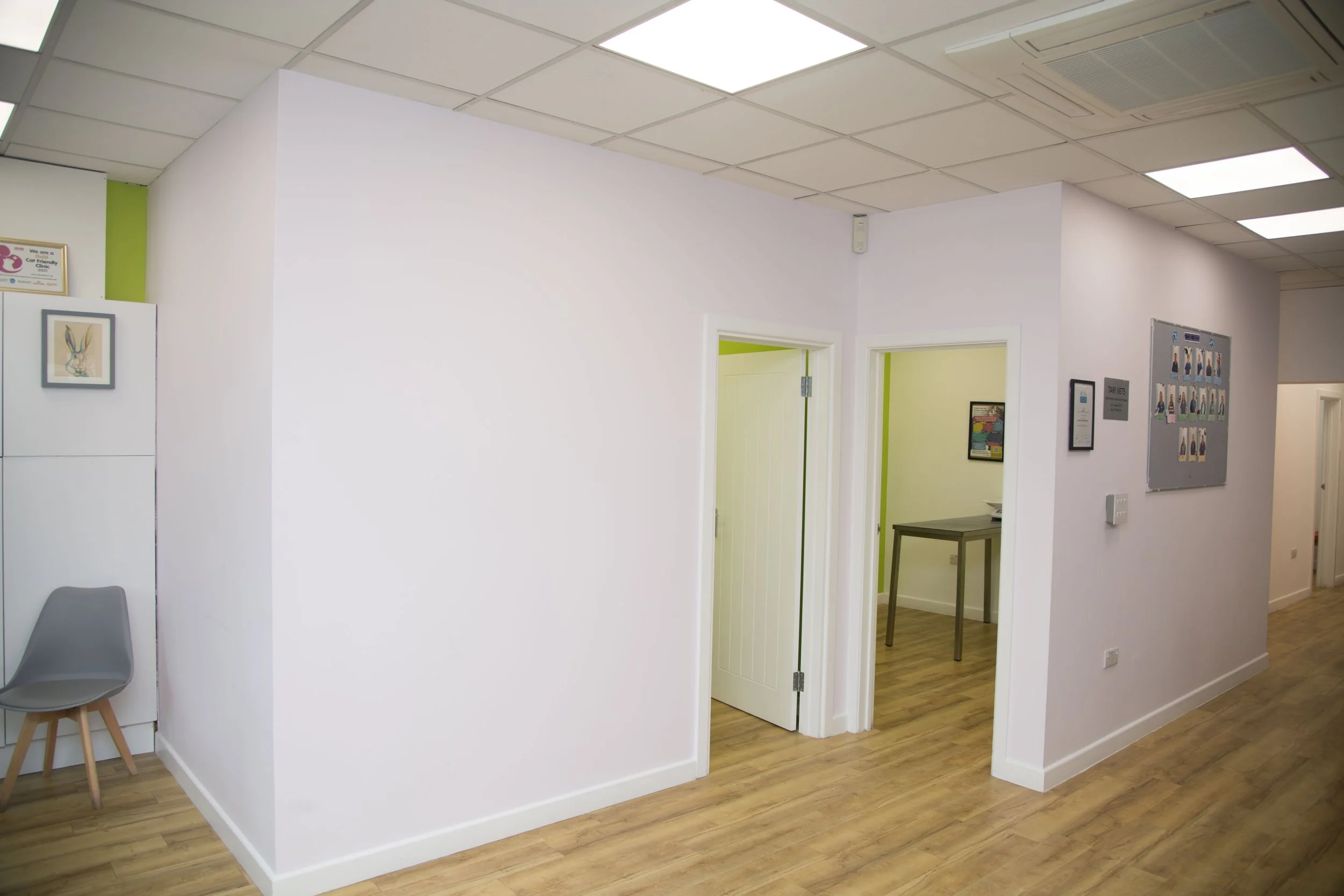 Desingnated Cat Consultation Room