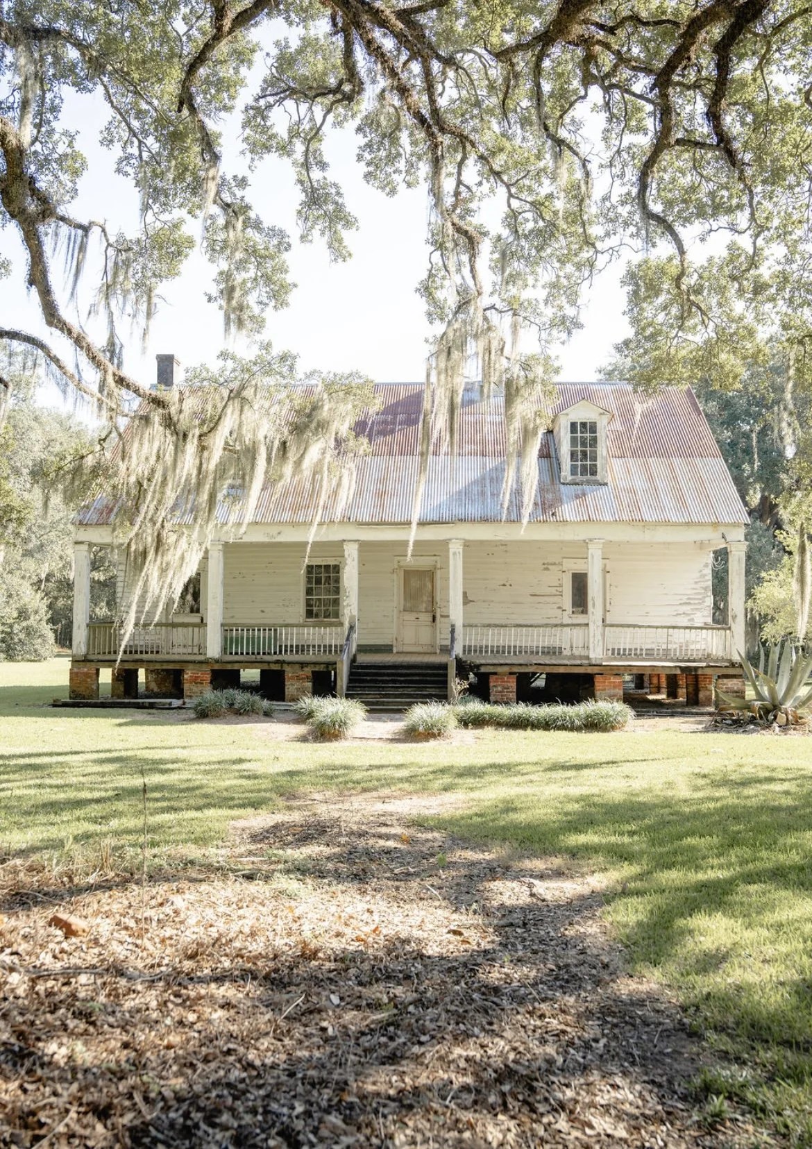 An old, weathered white house with a metal roof, surrounded by large trees with Spanish moss, a porch with steps, and a grassy yard with some bushes and plants.