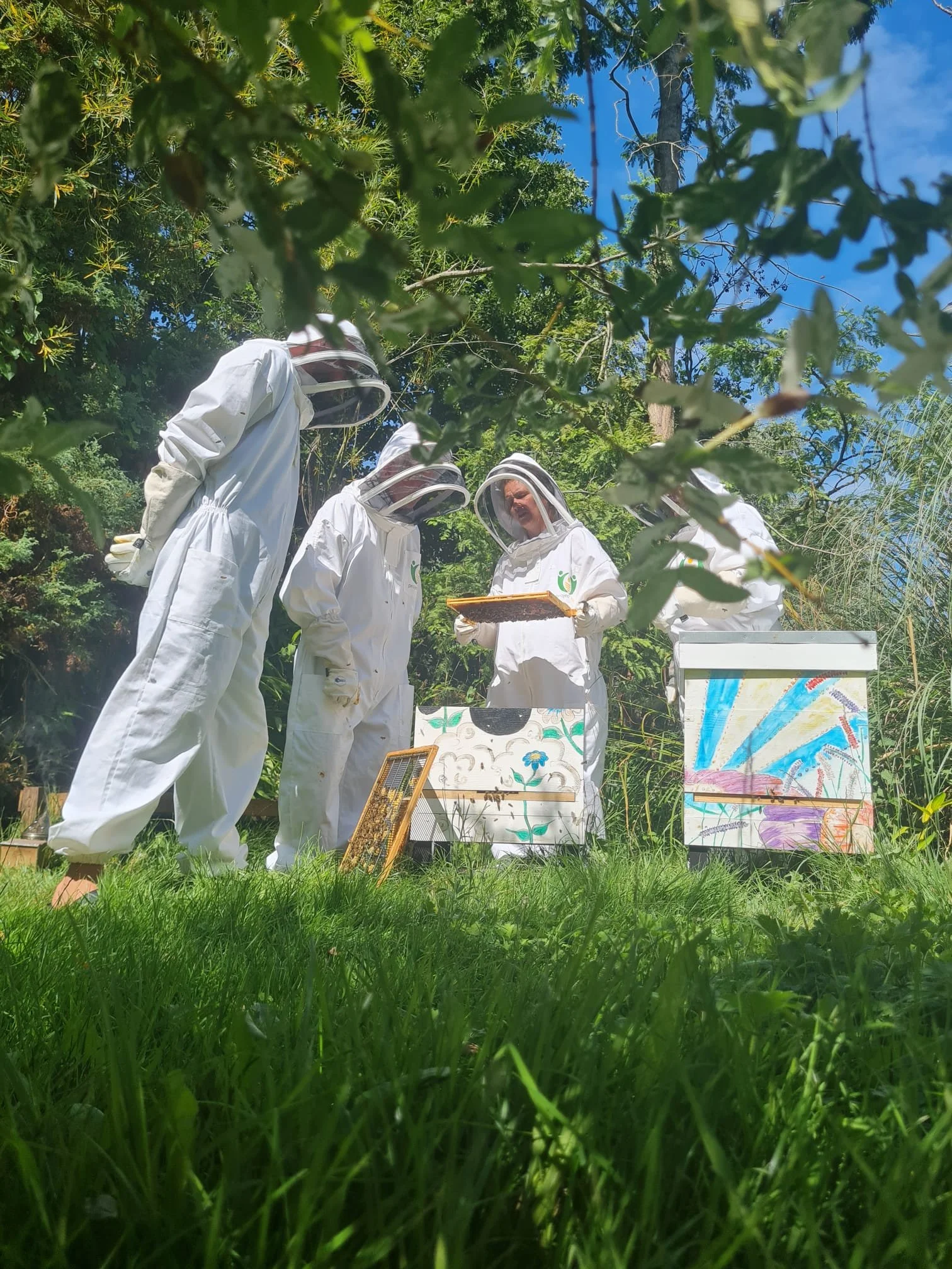 Brians Secret Garden Apiary