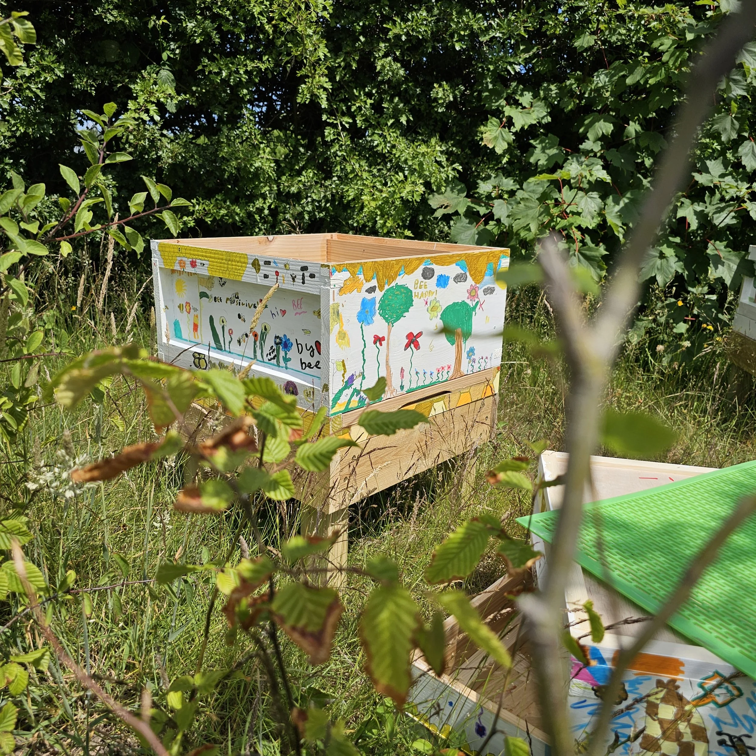 Bee the Change: How Our Painted Hives Are Telling Community Stories
