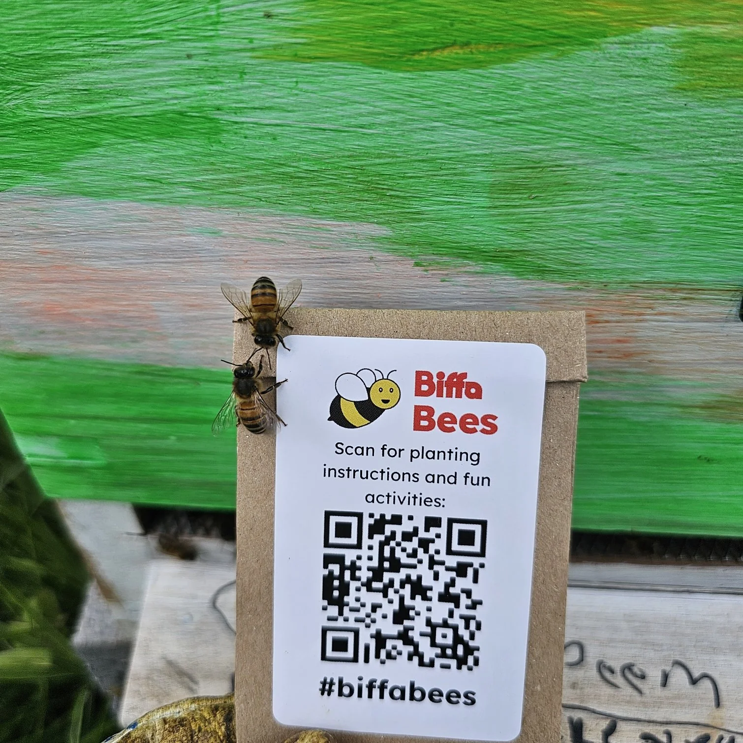Sowing Seeds of Change: How Biffa Bees Is Helping Us Grow More Than Just Wildflowers