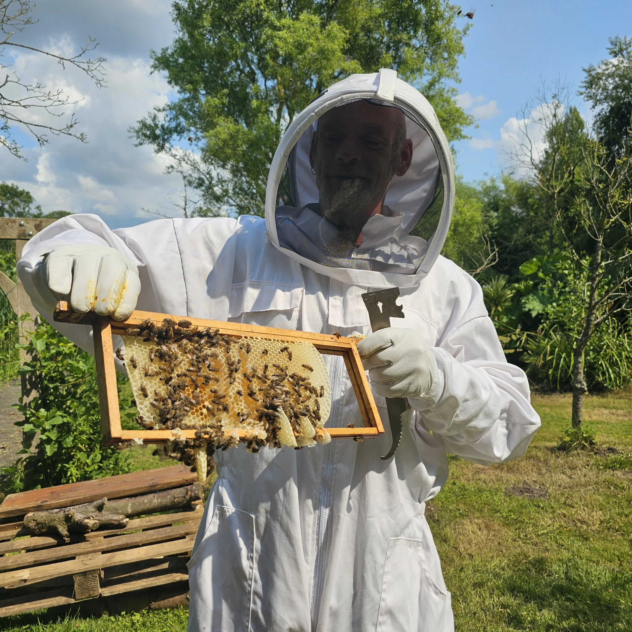 How Beekeeping Supports Mental Health and Wellbeing