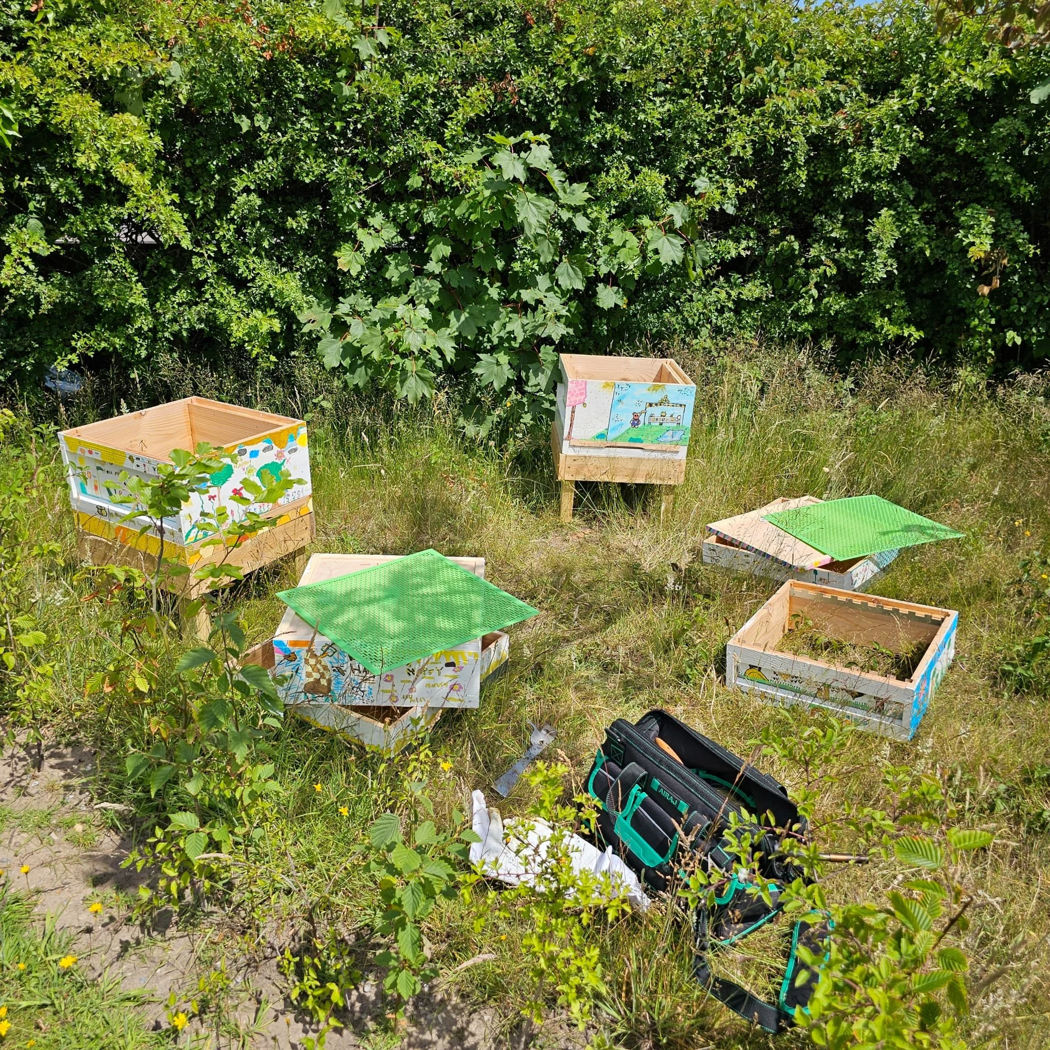 Why Spring 2026 Has Been a Slow Start for Bees in Norfolk