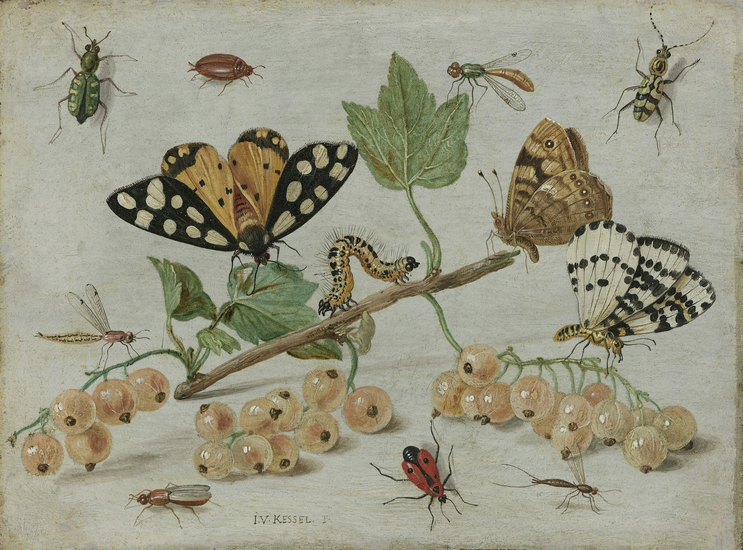 The Pollinators Most People Never Notice
