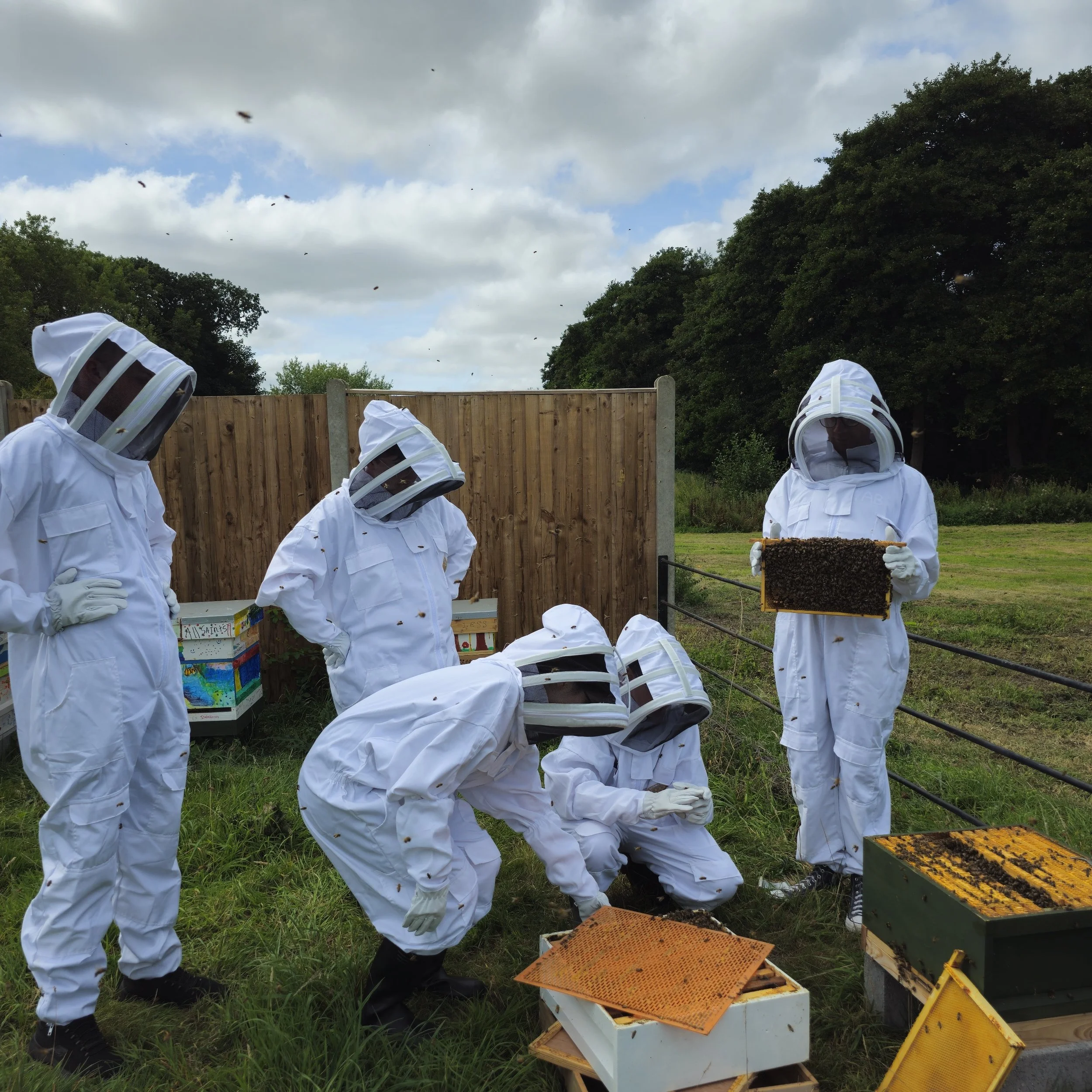 People dressed in white beekeeping suits assembled outdoors near beehives, with some handling frames of honey and bees.