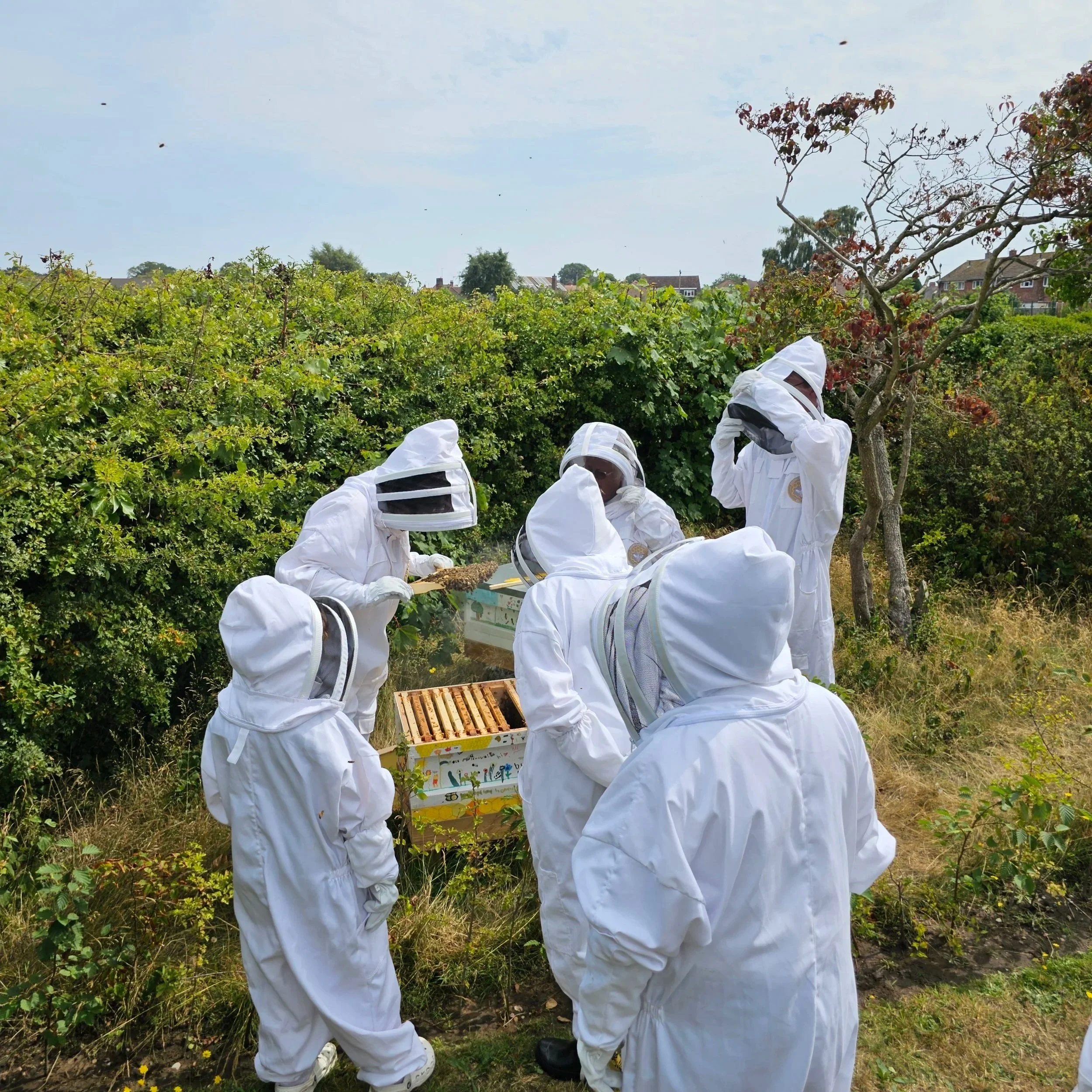 Why Church of England Sites Are Brilliant Places for Community Apiaries