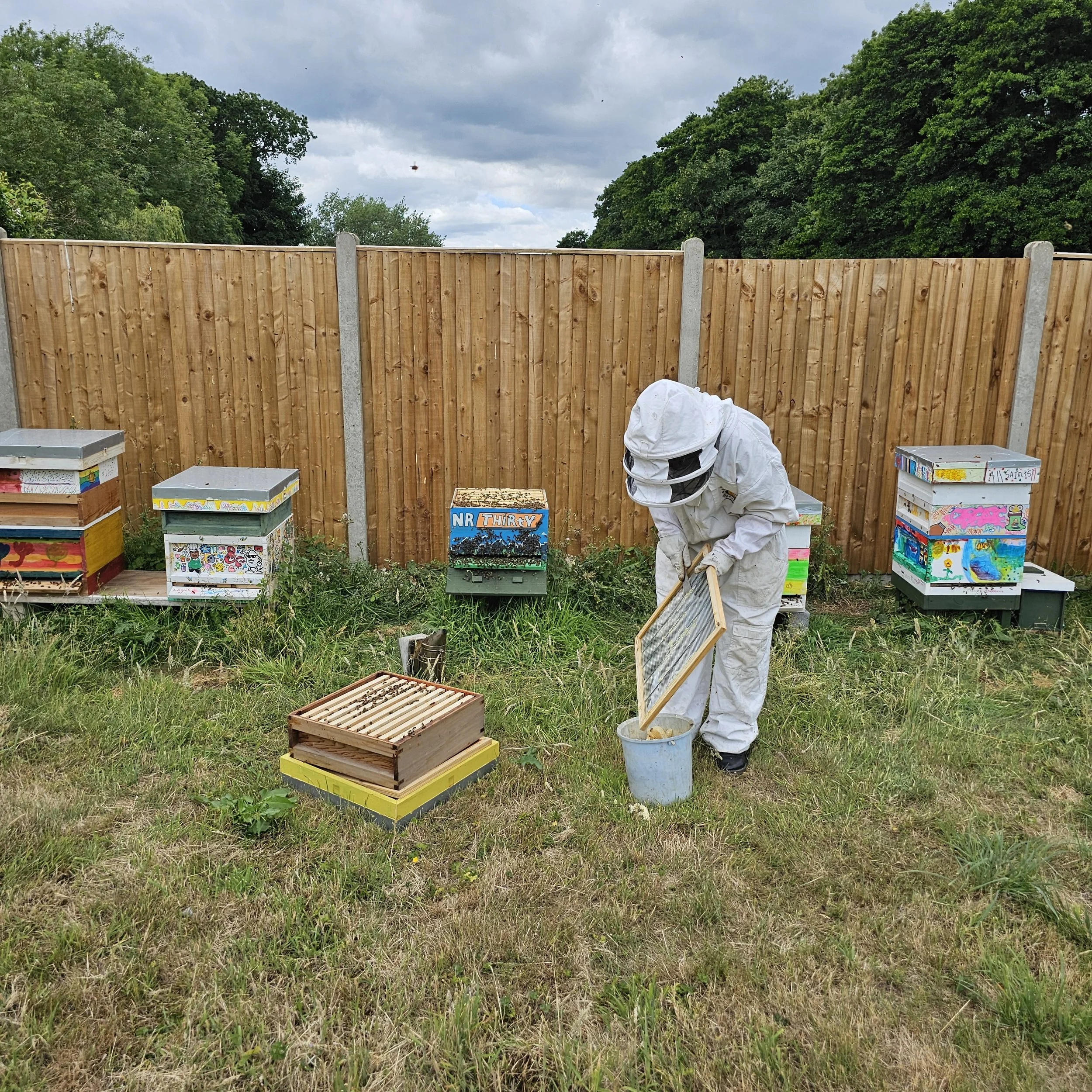 Bradwell Hall Apiary - Ren tending to the NRThirty Hive