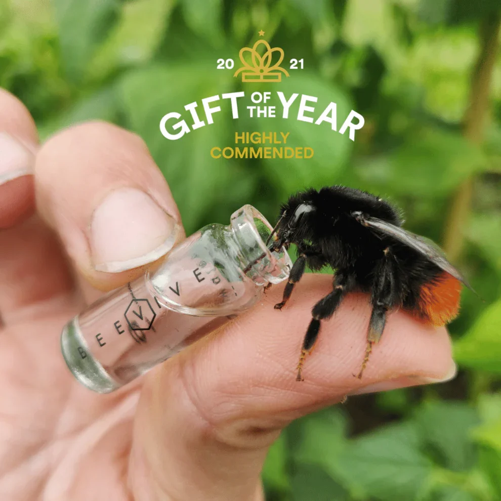 BeeVive Bee Revival Kit