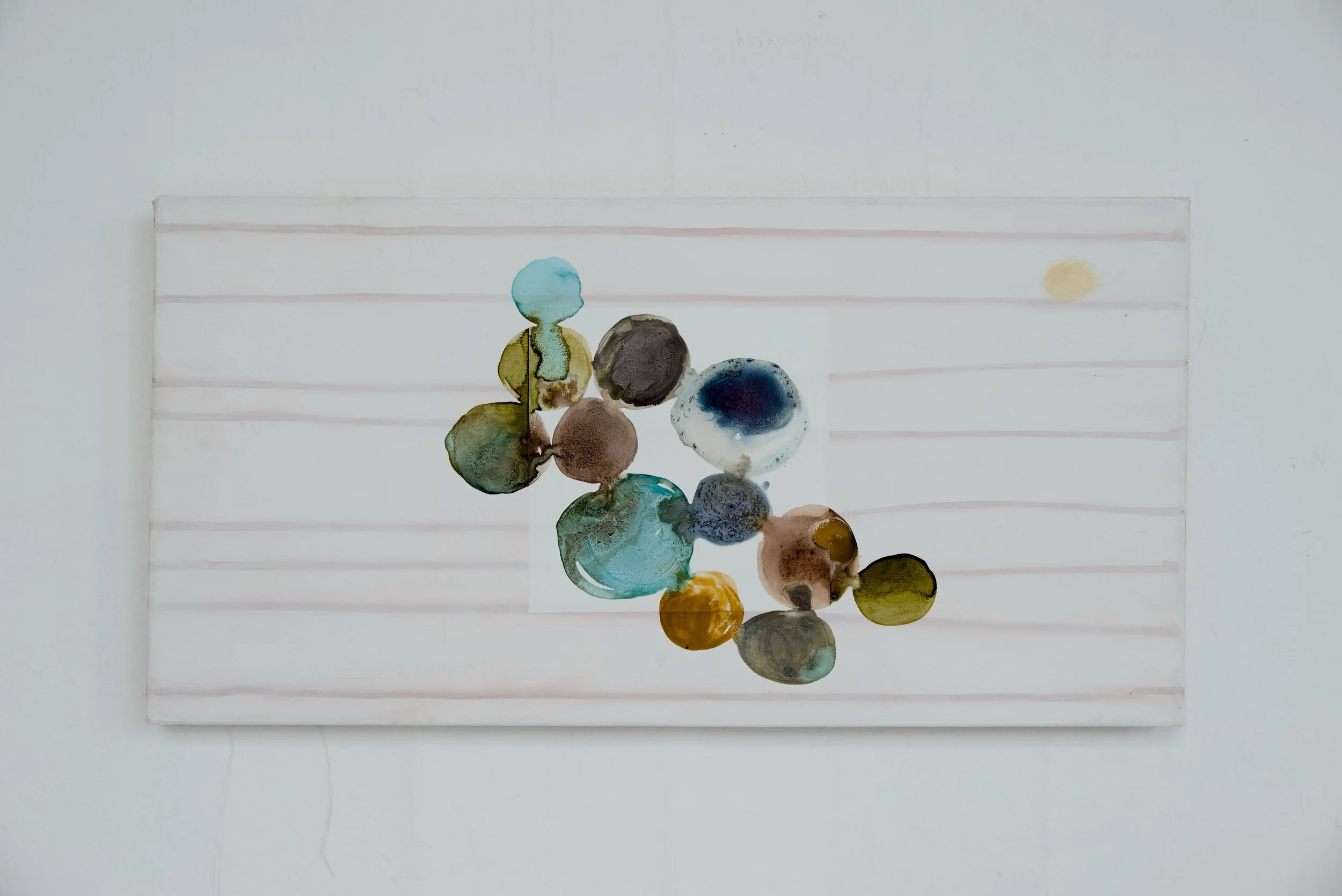 20 x 50 cm
