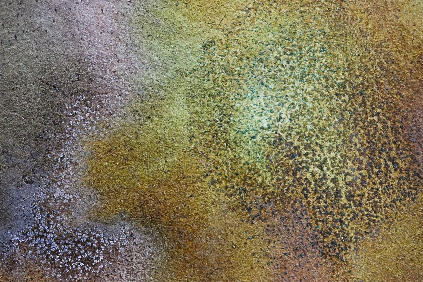 What do you see? I see snowflakes, rivers, deserts, oceans and frozen lakes, I see storms, craters, oil spills and droughts. All present in our landscape, and can be seen in the minute details when that landscape is brought into the painting. Every t