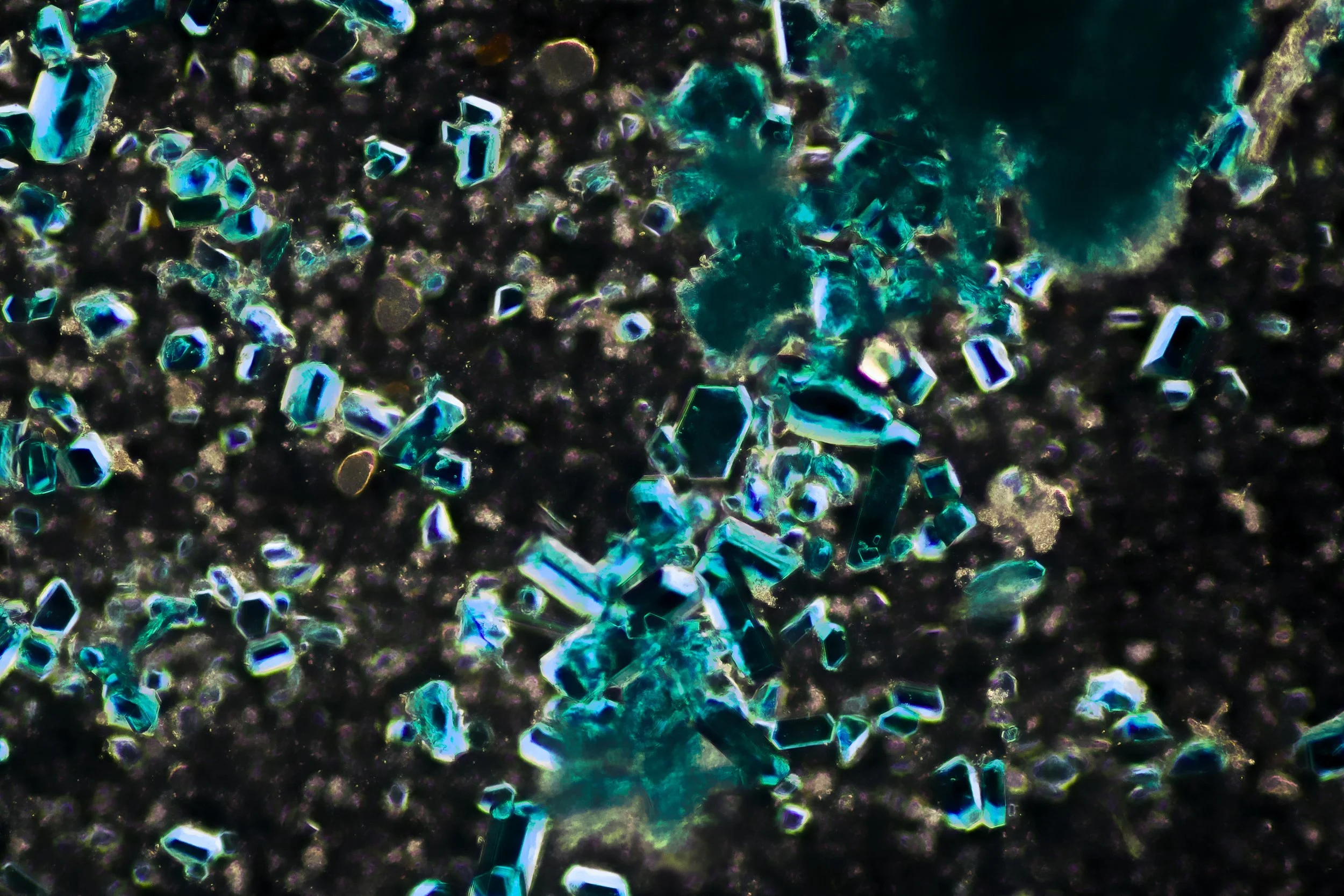 Microscopy at ASCUS Lab, Summerhall. Copper acetate ink under dark-field microscope. 