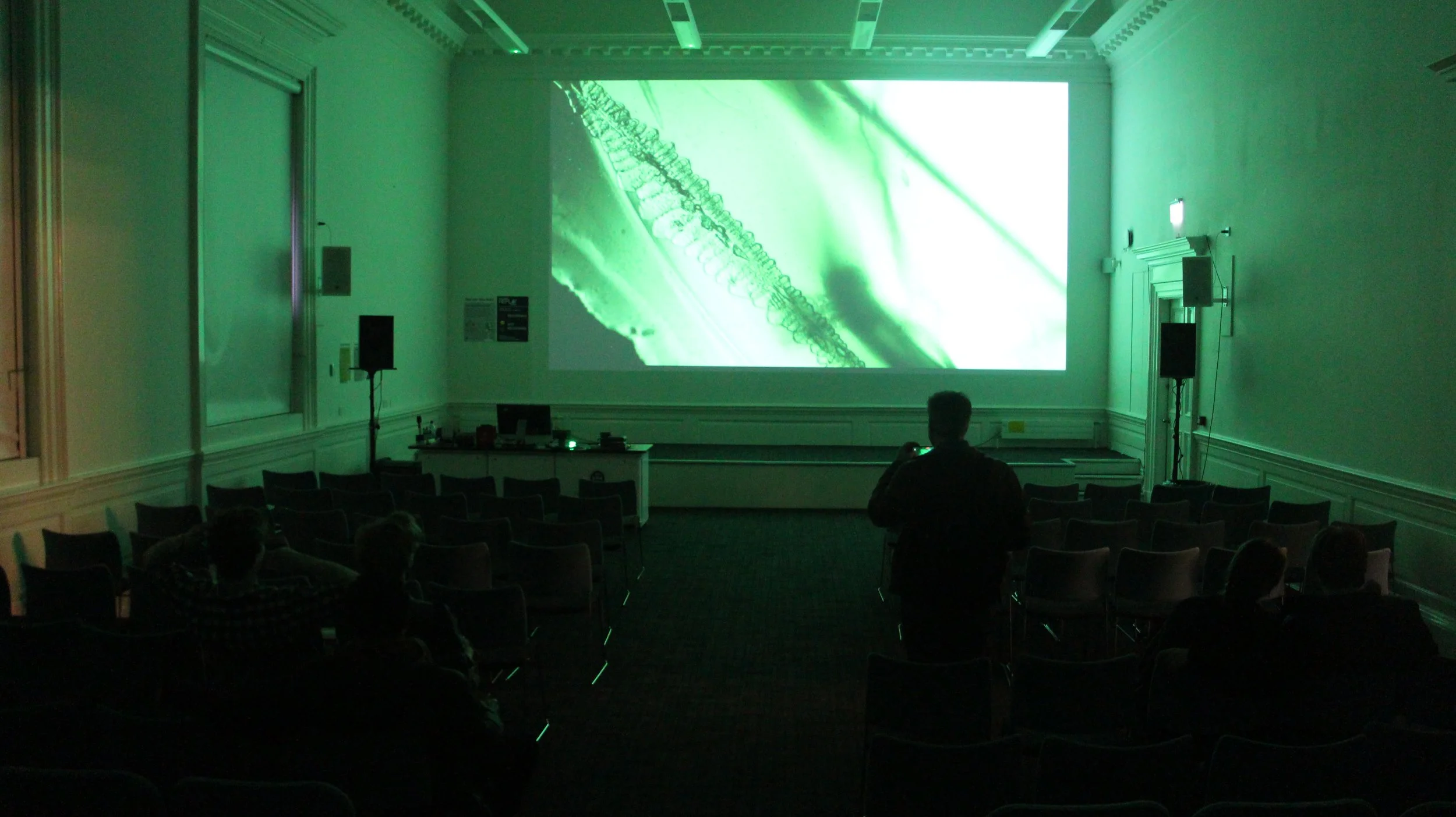 Echoes of the Earth Projection