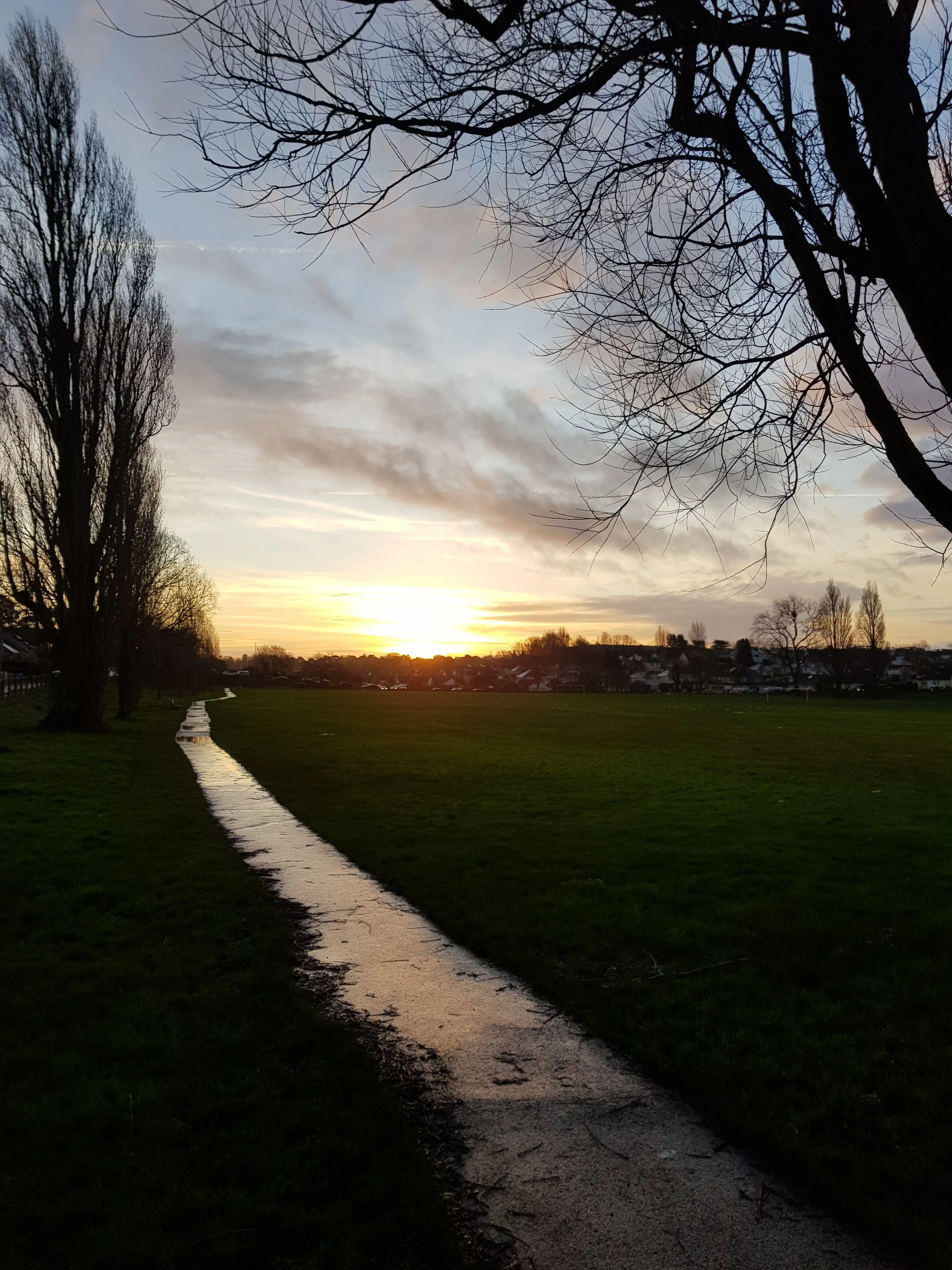 A scenic view of a park at sunset with a winding path, leafless trees, and a partly cloudy sky.