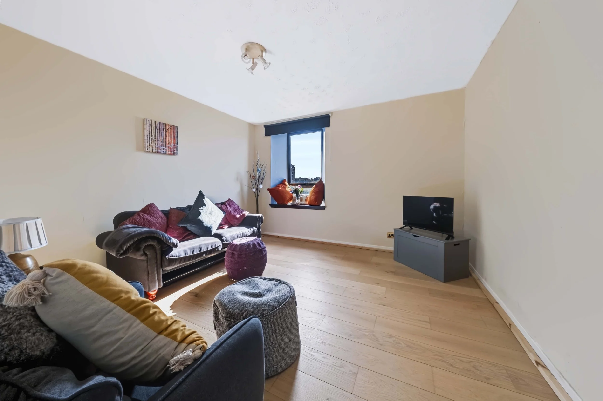 Living Room 1.jpg