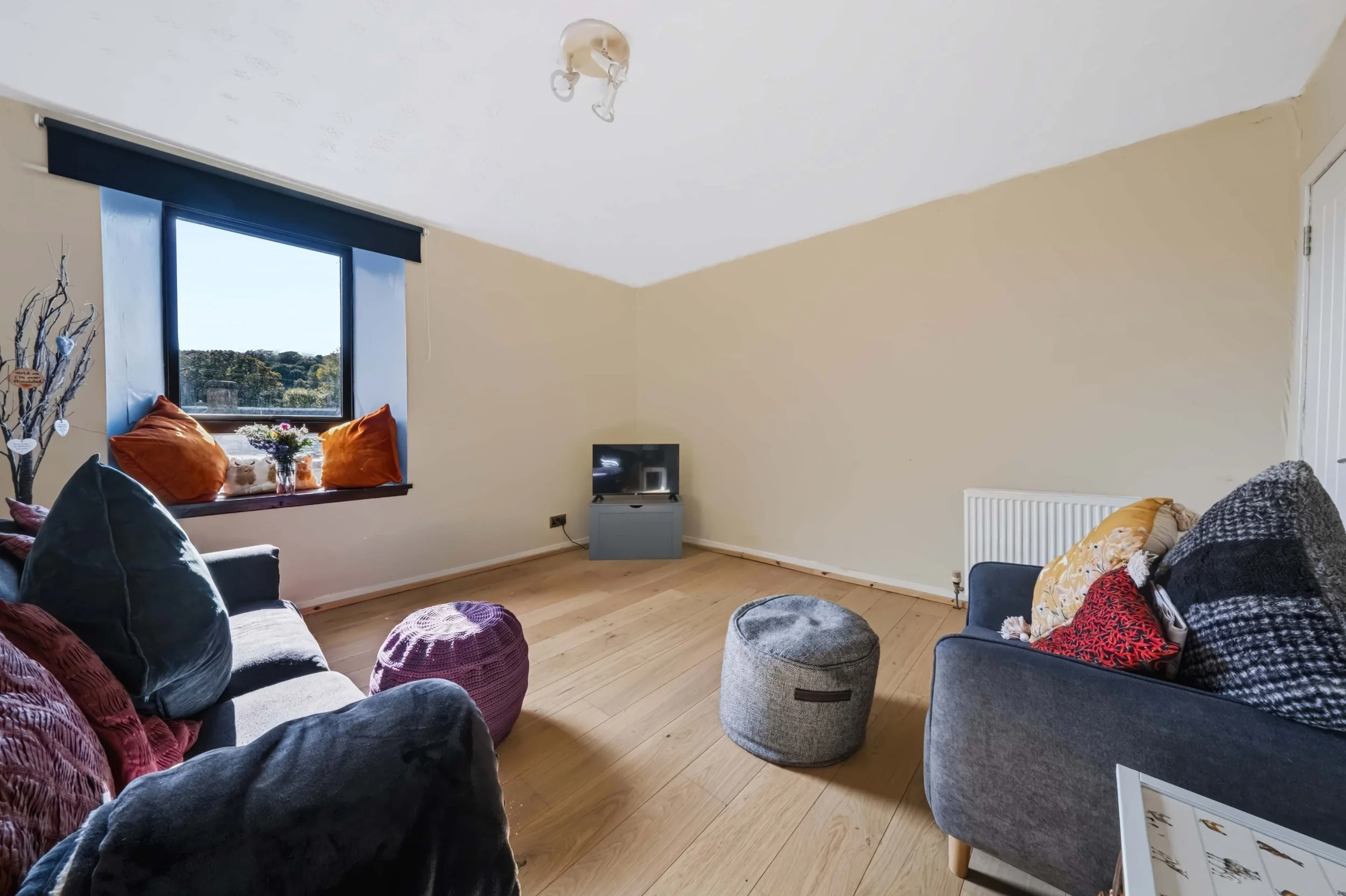 Living Room 2.jpg