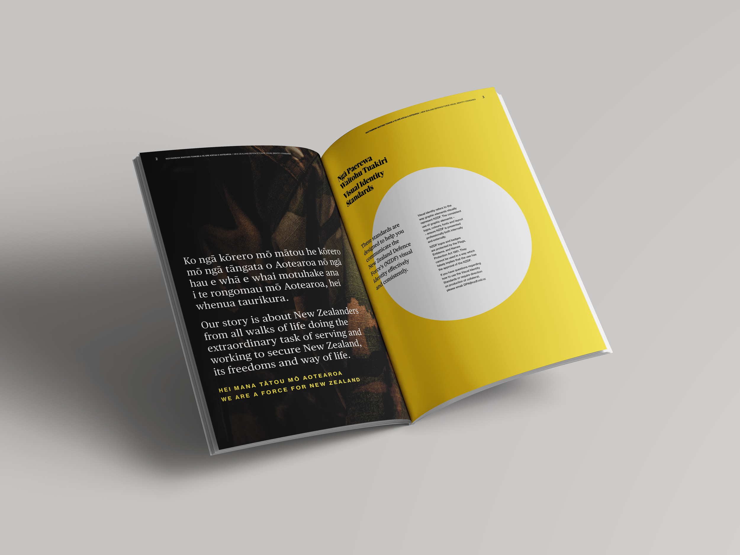 NZDF Identity Standards 5.png