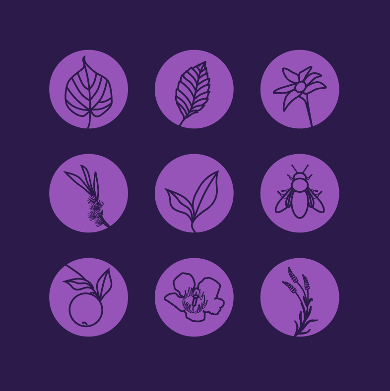 ertho illustration 3a.png