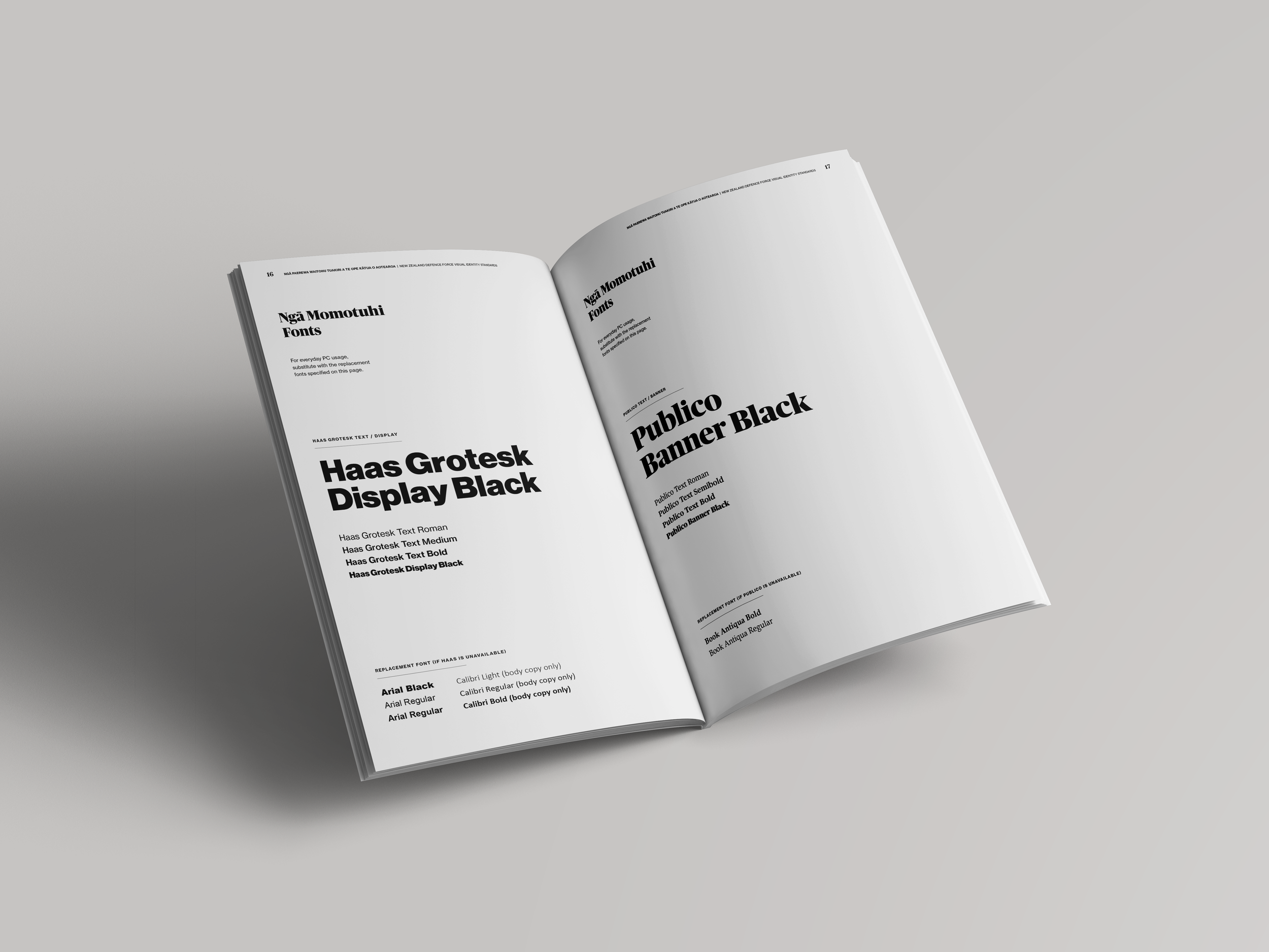 NZDF Identity Standards 2.png