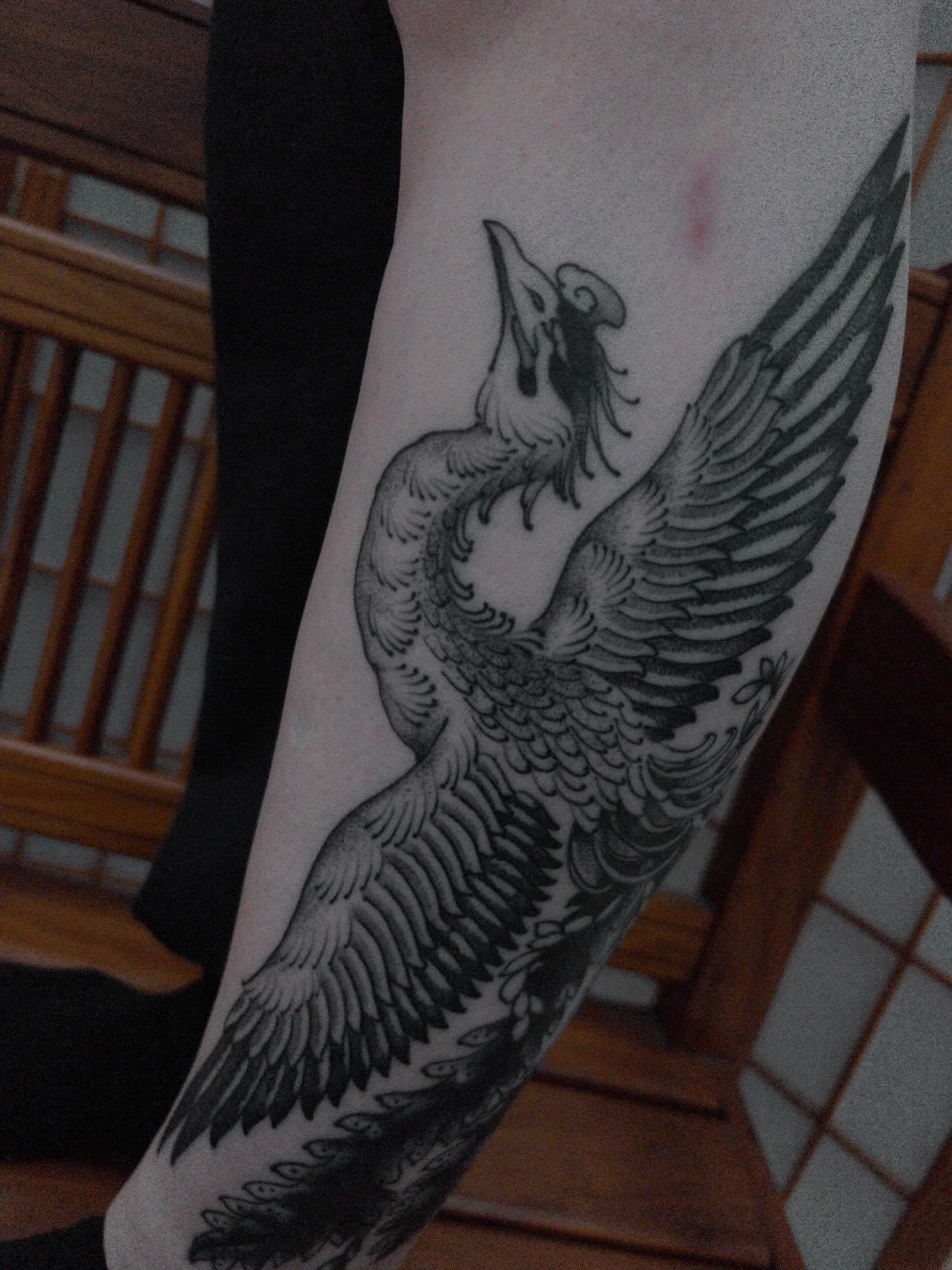 F&ecirc;nix, cobertura feita pelo @thejohncarvalho j&aacute; cicatrizada!
.
Quer cobrir aquela tattoo da adolesc&ecirc;ncia que n&atilde;o faz mais sentido pra vc? Chama a gente