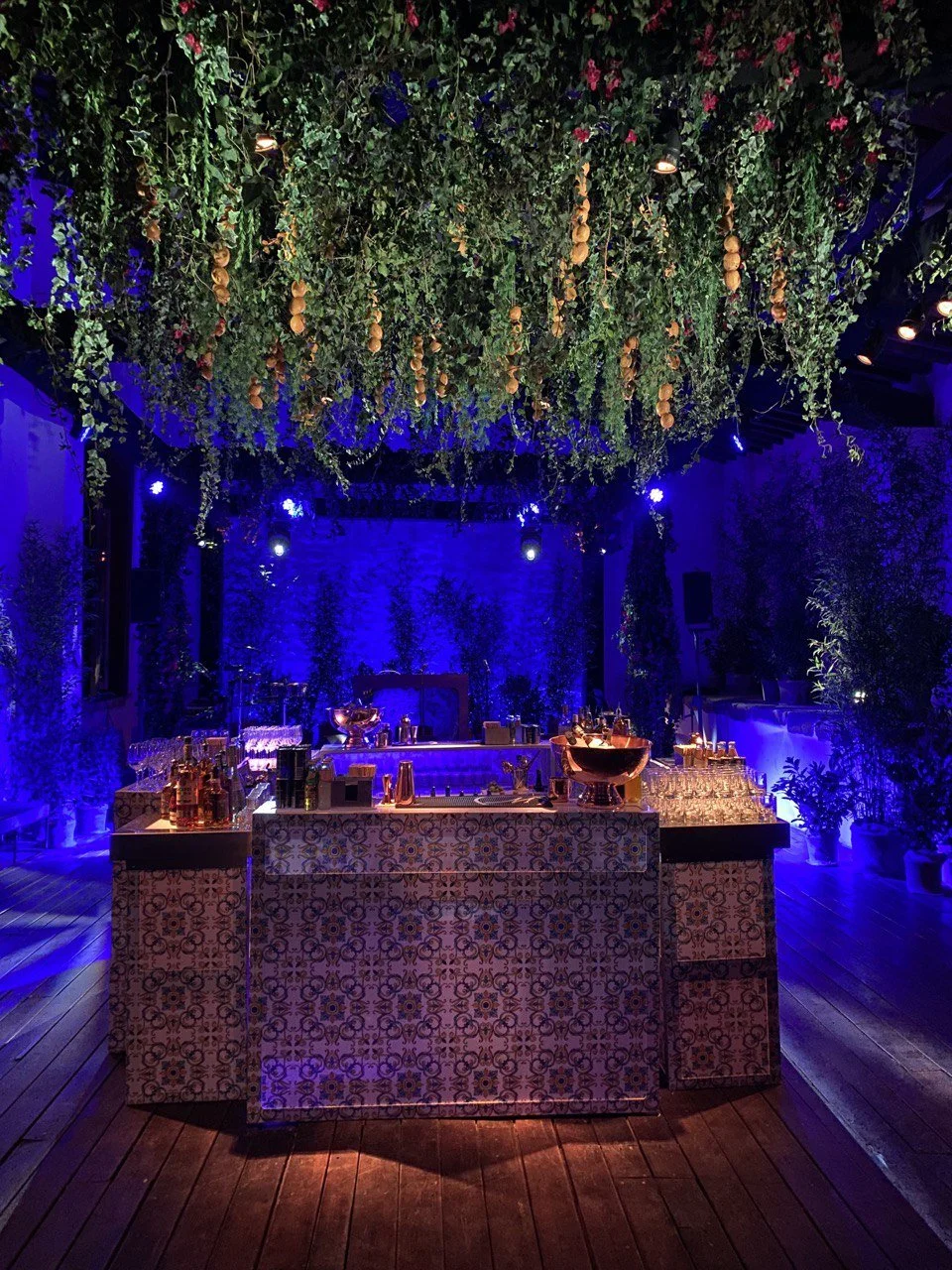 Bar decorado con muchas plantas y guirnaldas, iluminado con luces azules, con bebidas y vasos en la barra, ambiente acogedor y elegante.