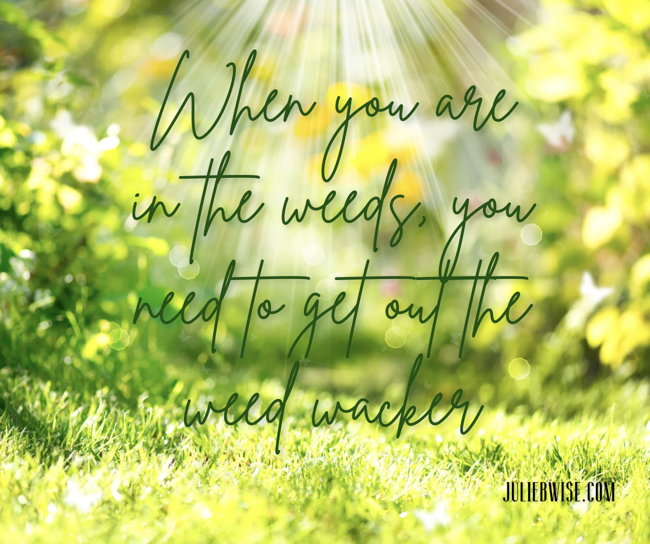 Hell No List: When you are in the weeds, you need to get out the weed wacker