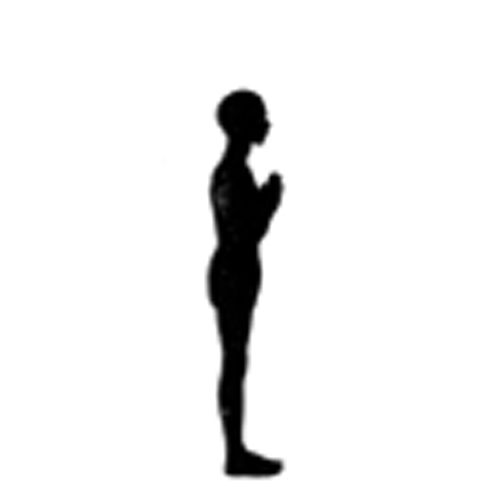 sunsalutation2TURK.gif
