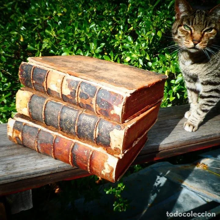 BOOKS FUNDAMENT of Humane Humanity
