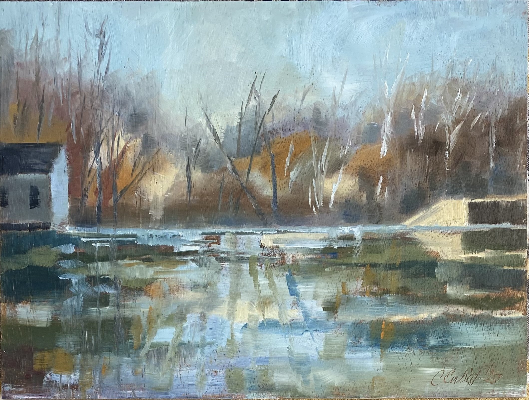 “Icy Morning at Lake Roland”.jpg