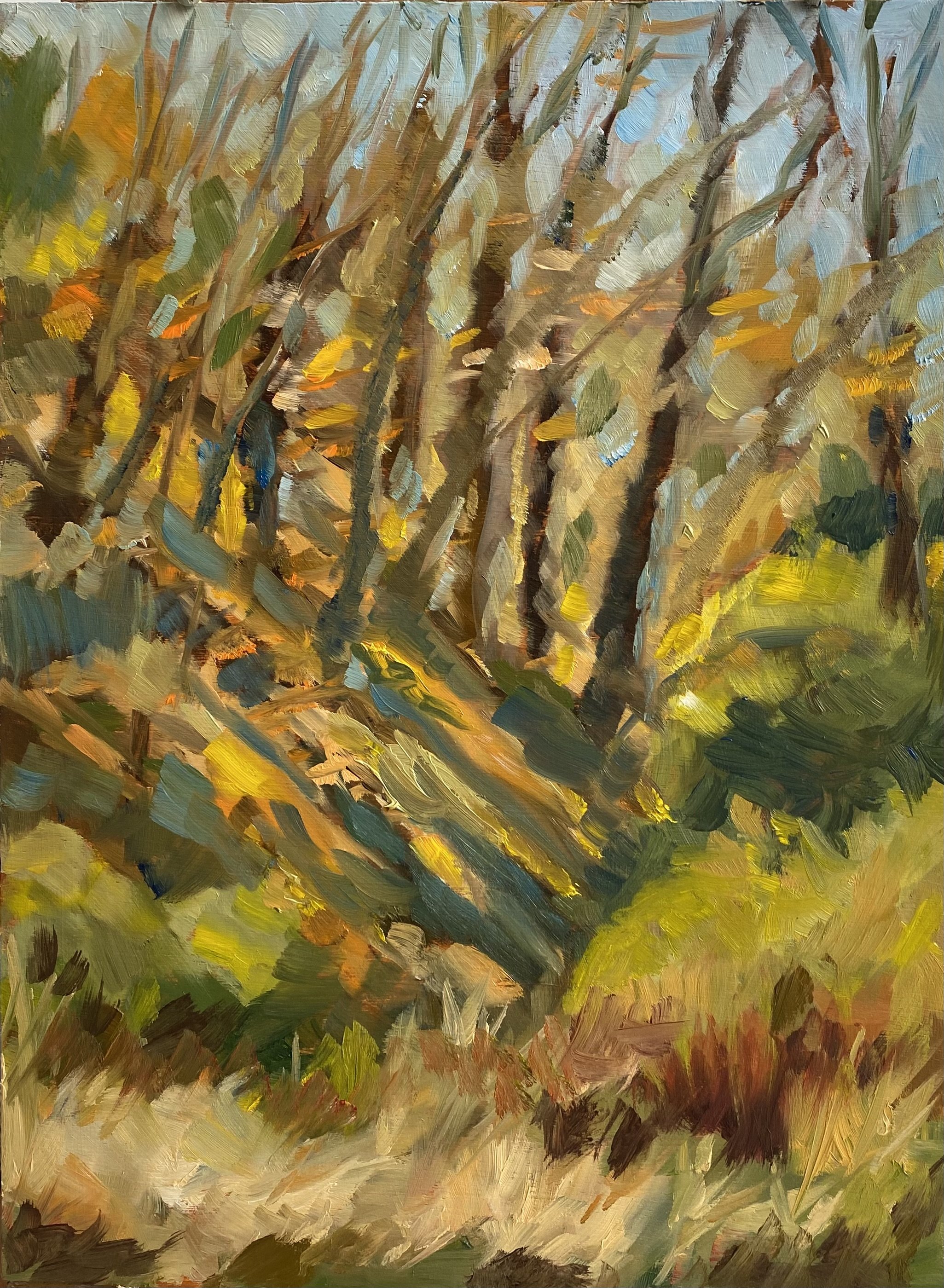 "Autumn Shadows"
9x12 Oil on panel 2024
SOLD
