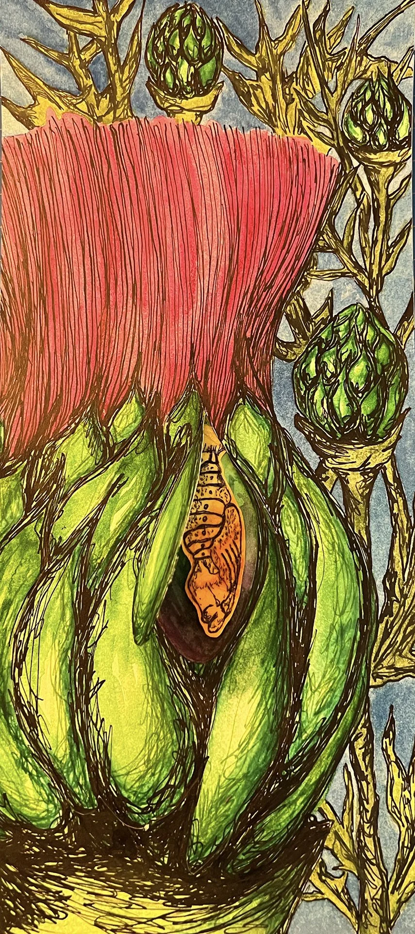 "Prickly Armour"
Watercolor, Pen & India Ink, Ink pencils, collage, rice paper
11"x15"
2024