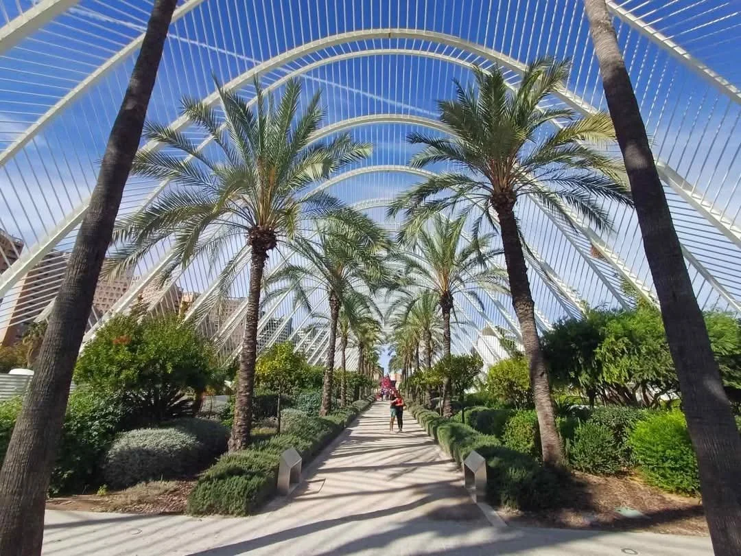 FB_IMG_1746881254106 (1).jpg