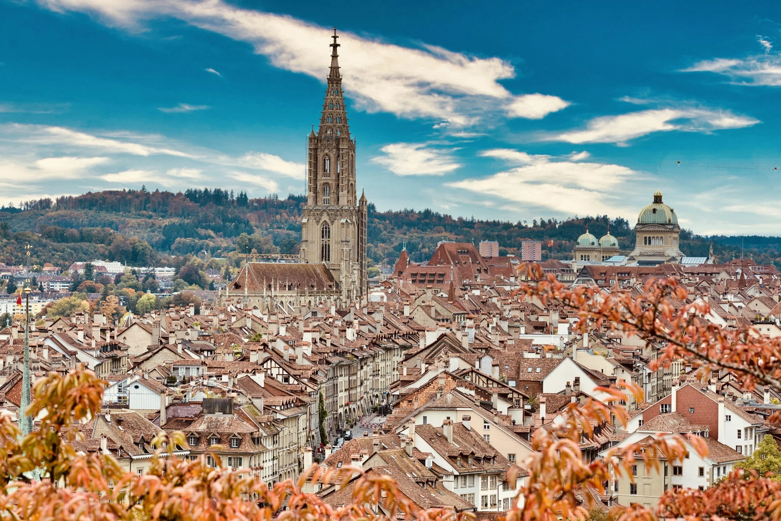 Channel Development Manager, EMEA/DACH
