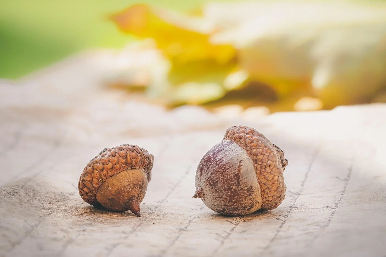 When Feeling Everything Leads to Wholeness