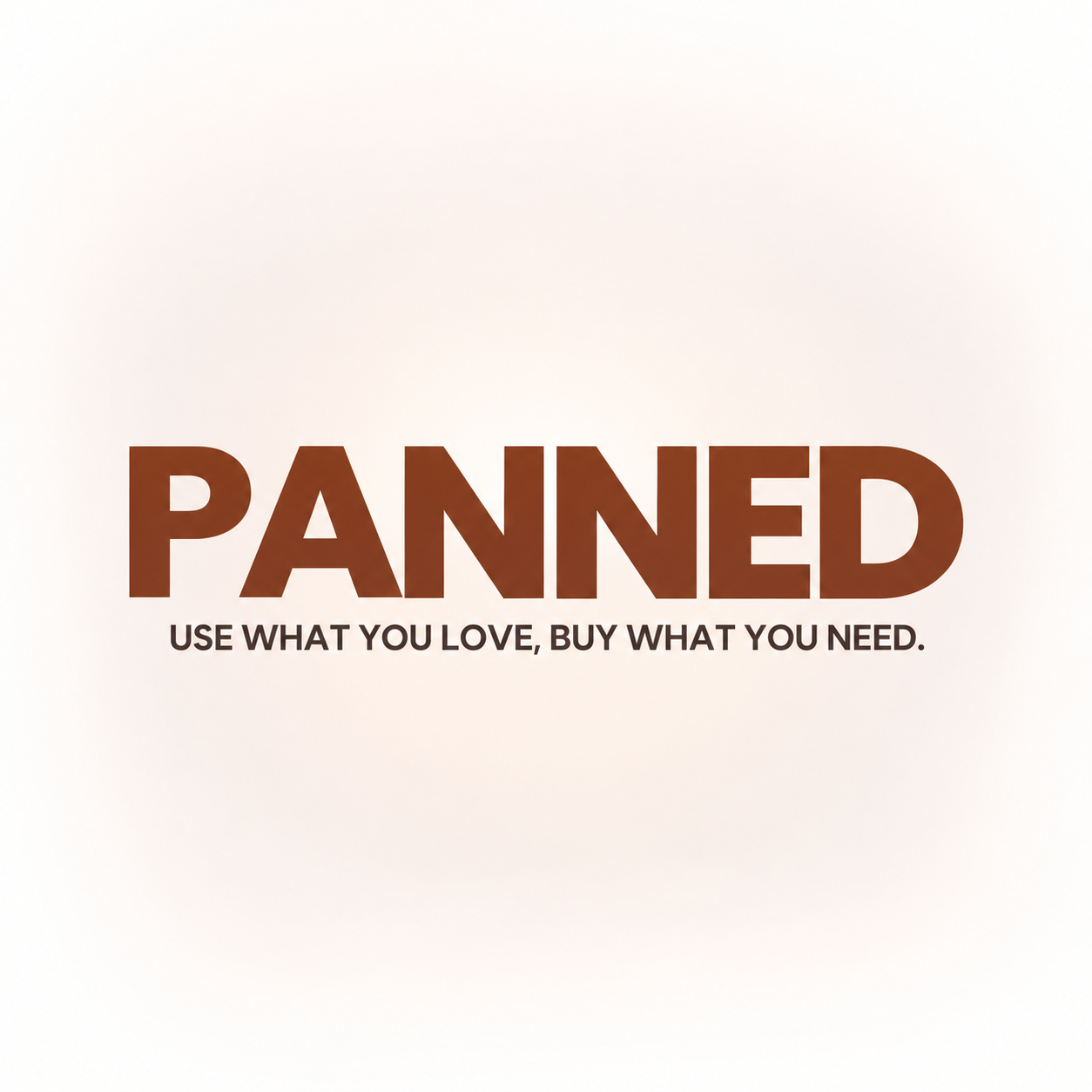 Panned | Beauty App Pitch