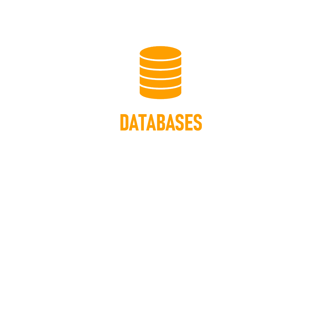 Text about databases with an orange database icon, stating that a bespoke database can streamline administration, provide instant access to information, reduce costs, and assist in designing and delivering solutions.