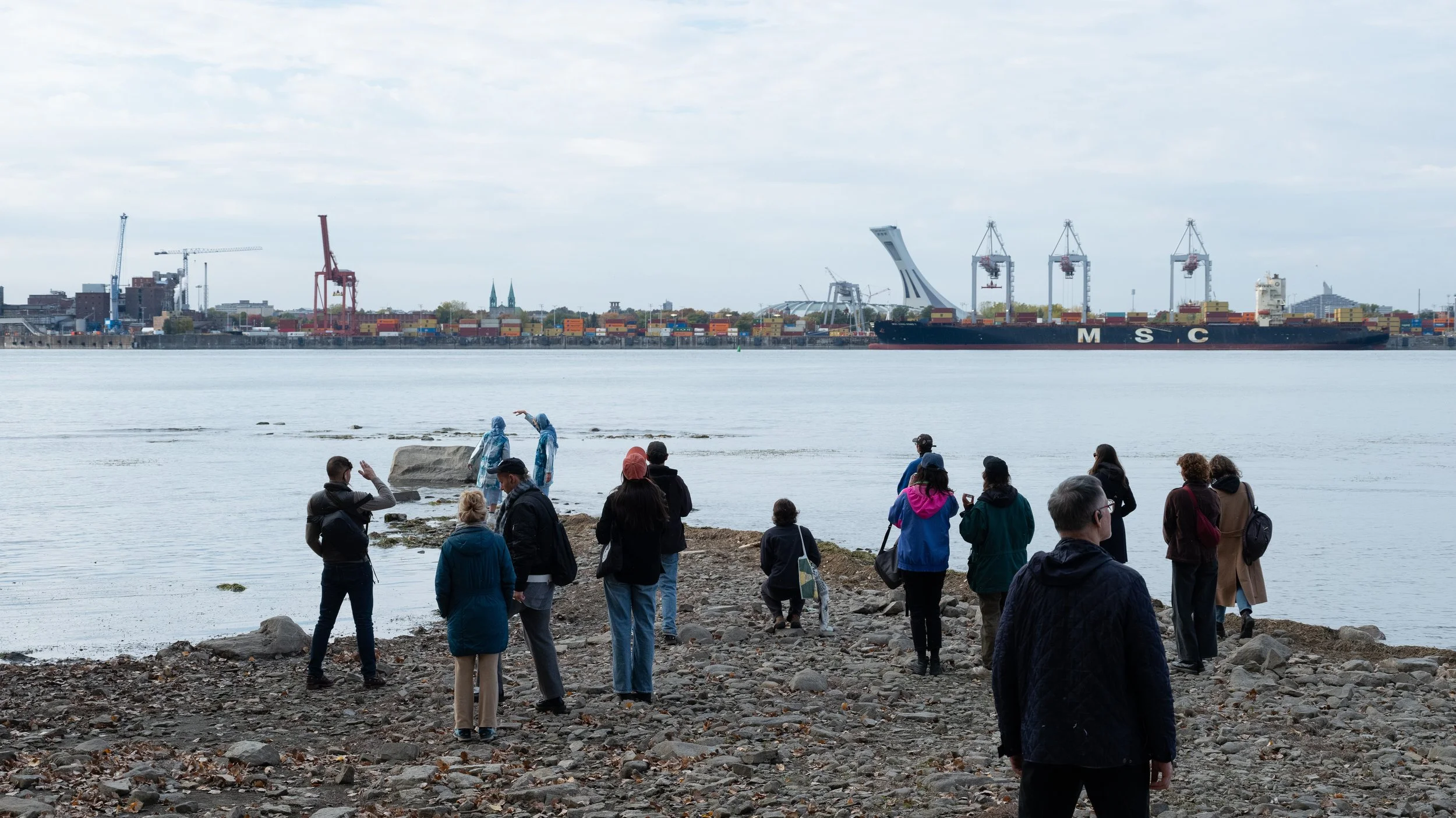 CAMPAGNE DE MEMBERSHIP 2026