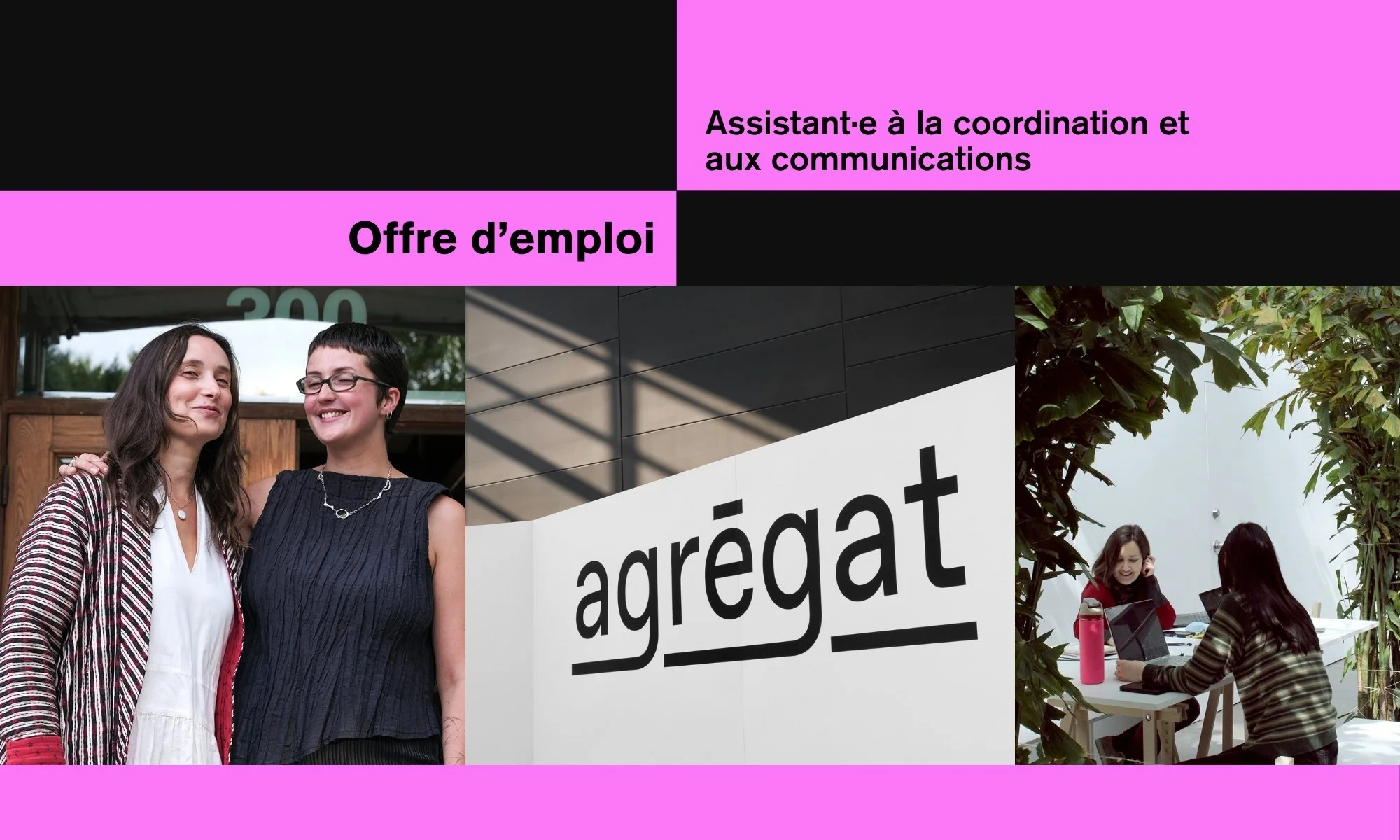 Offre d’emploi : assistant·e à la coordination et aux communications