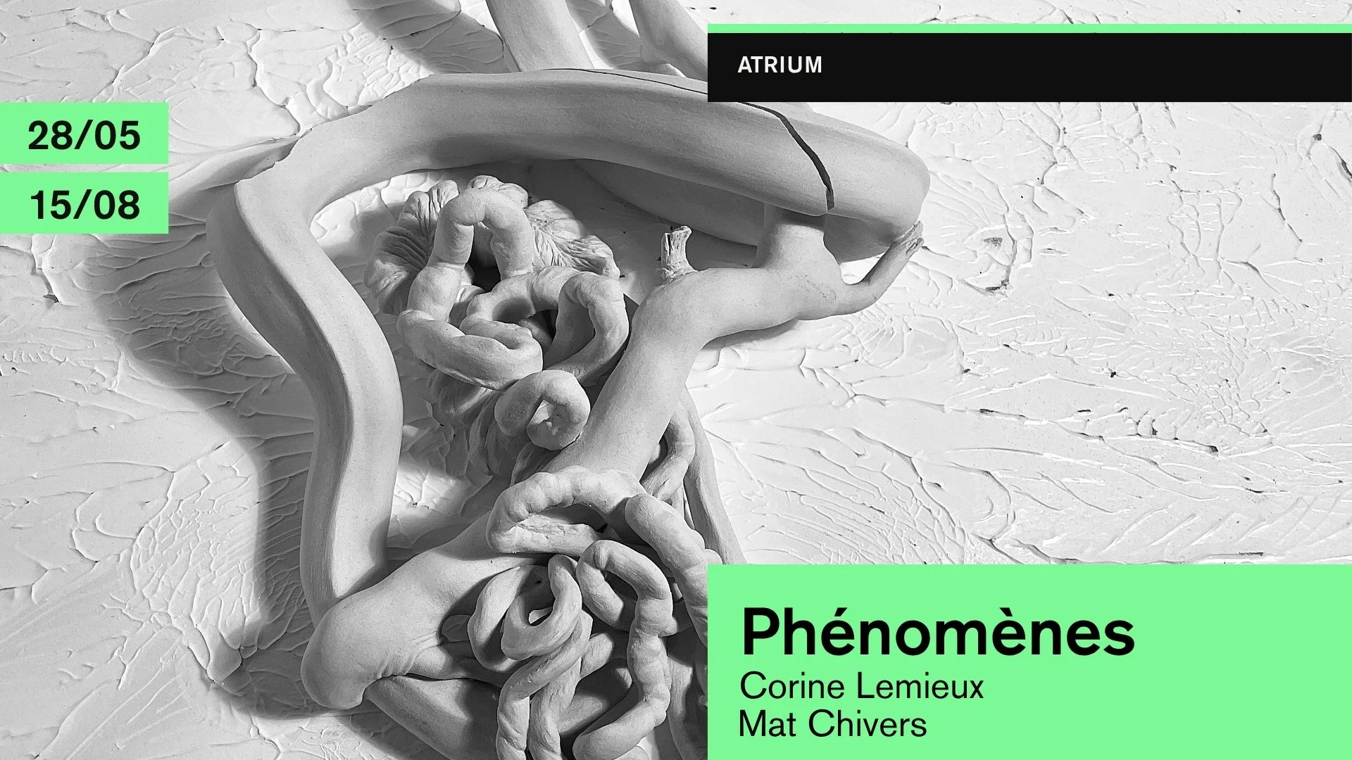Phénomènes, Corine Lemieux et Mat Chivers