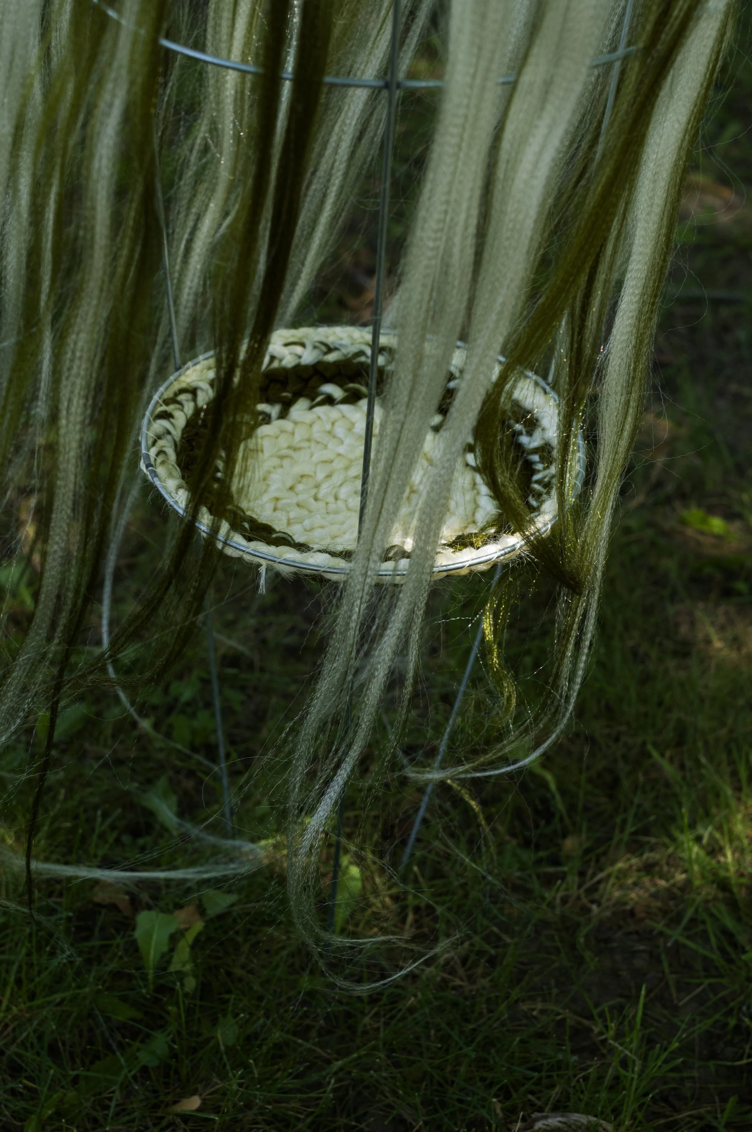 L1110179 copie.jpg
