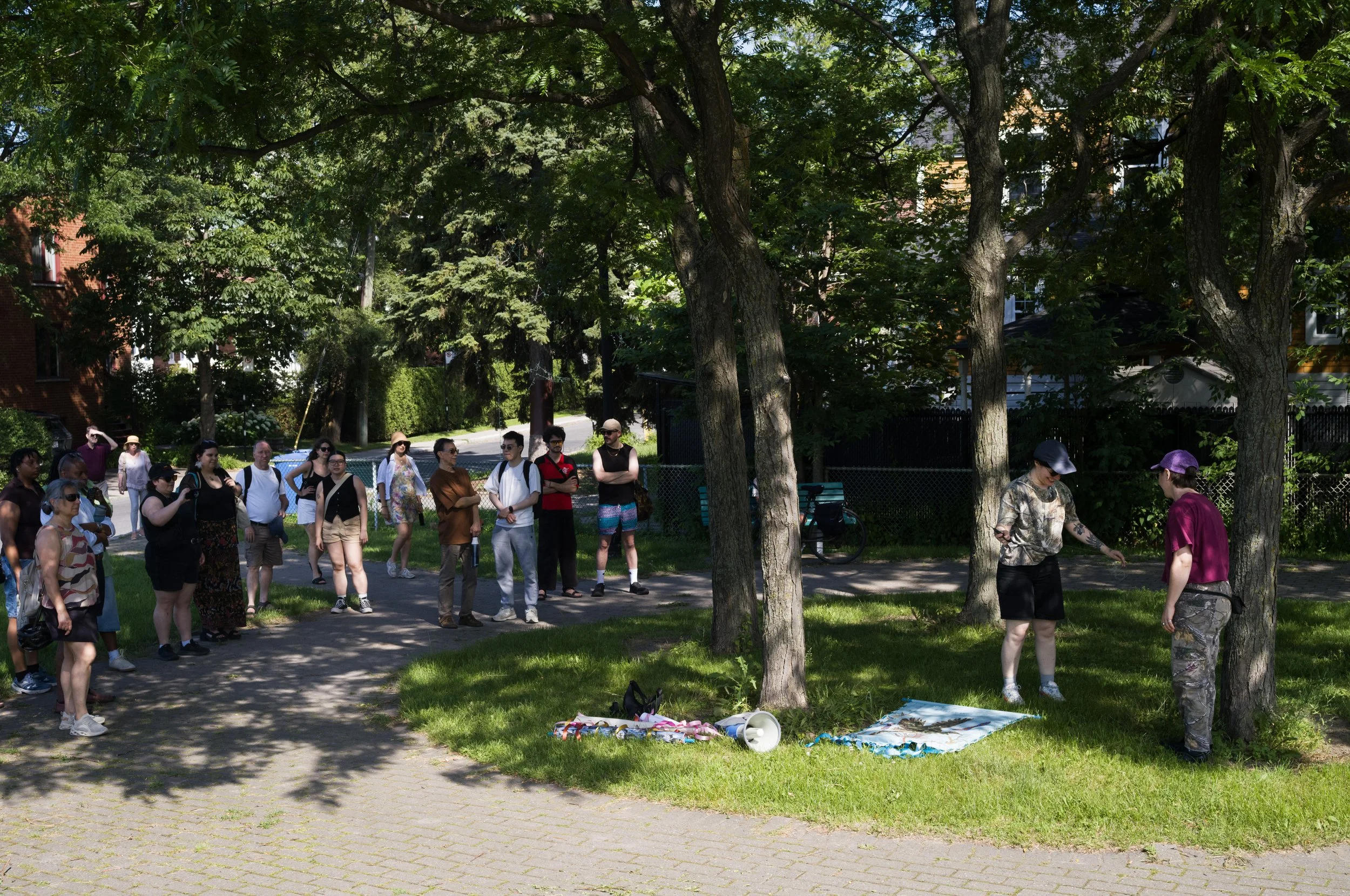 L1110480 copie.jpg