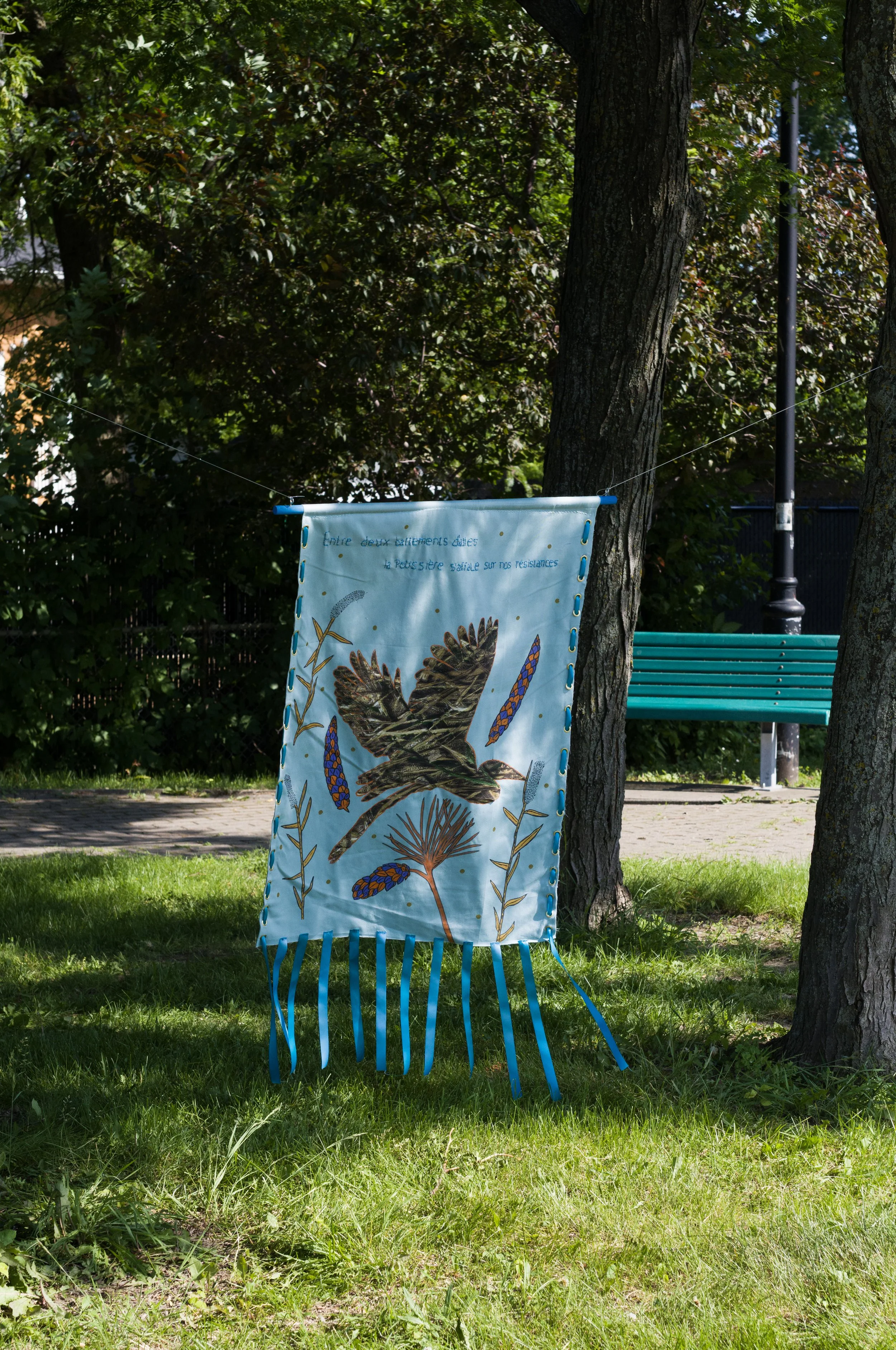 L1110524 copie.jpg