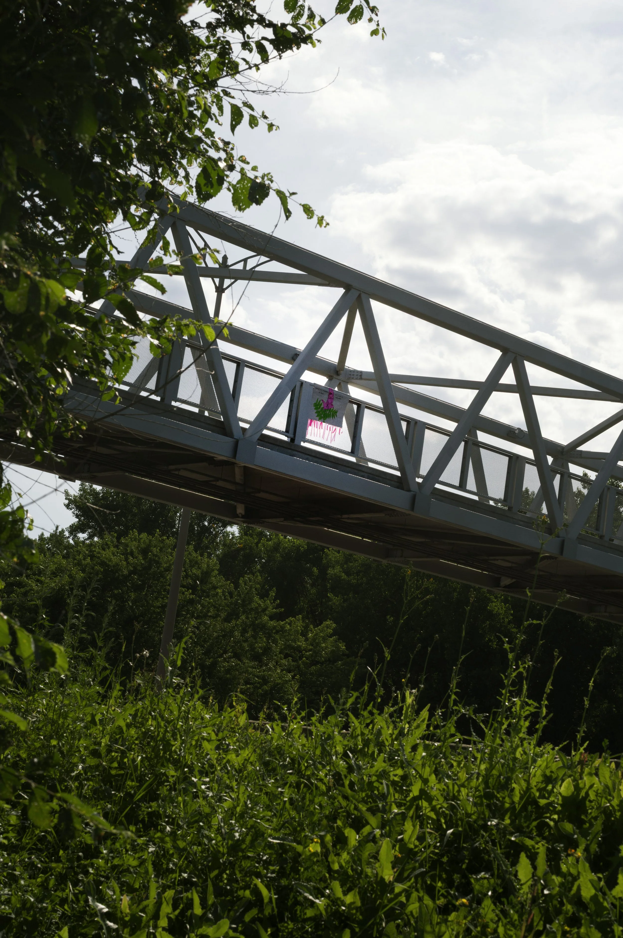 L1110545 copie.jpg