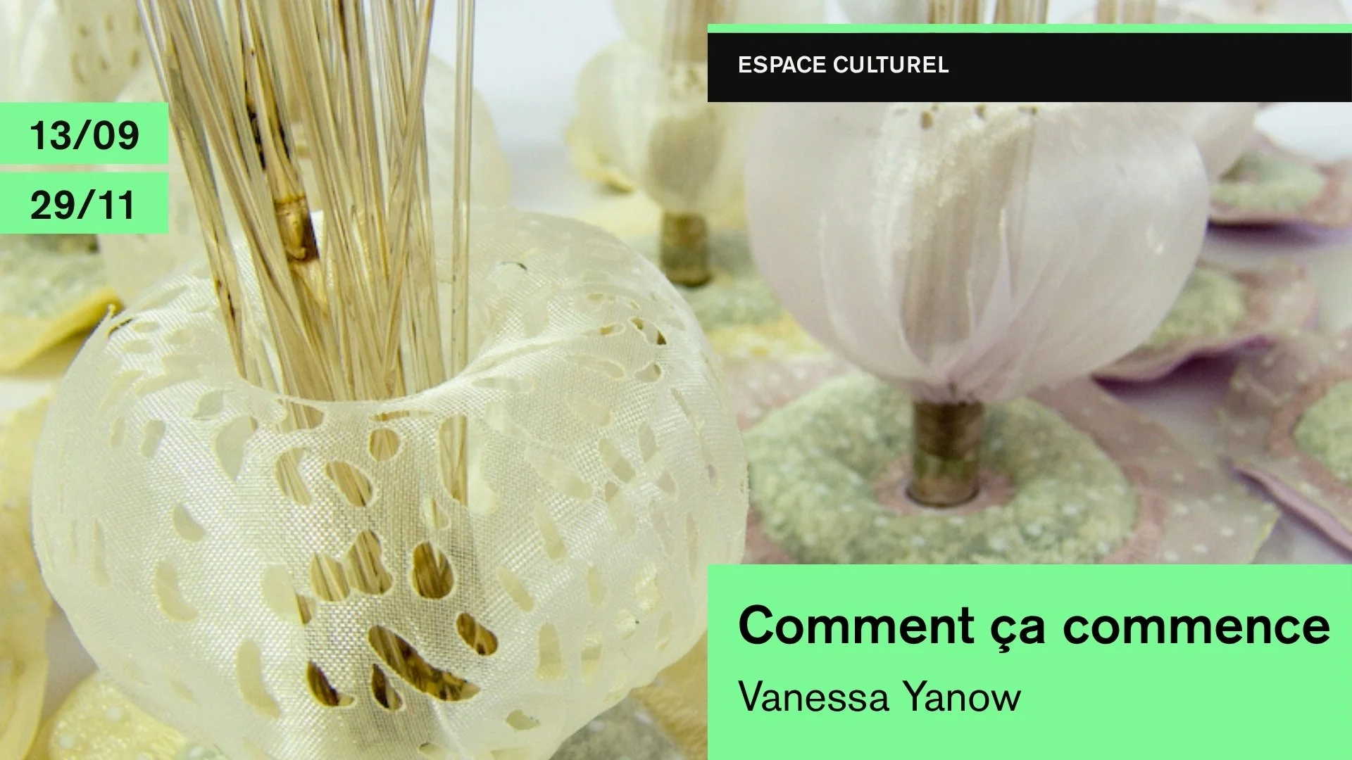 Comment ça commence, Vanessa Yanow