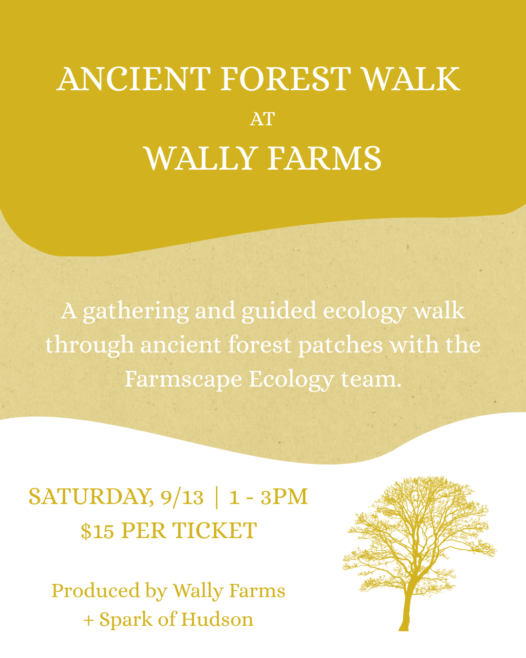 Ancient Forest Ecology Walk at Wally Farms