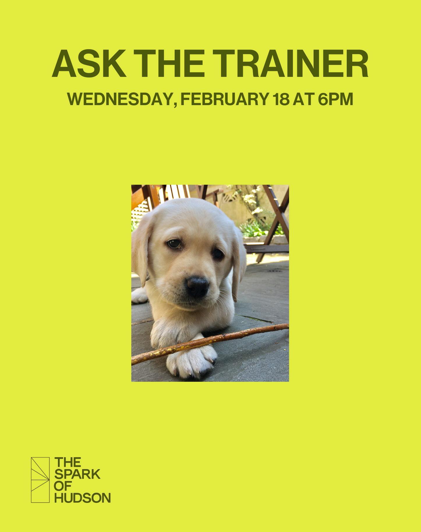 Ask The Trainer
