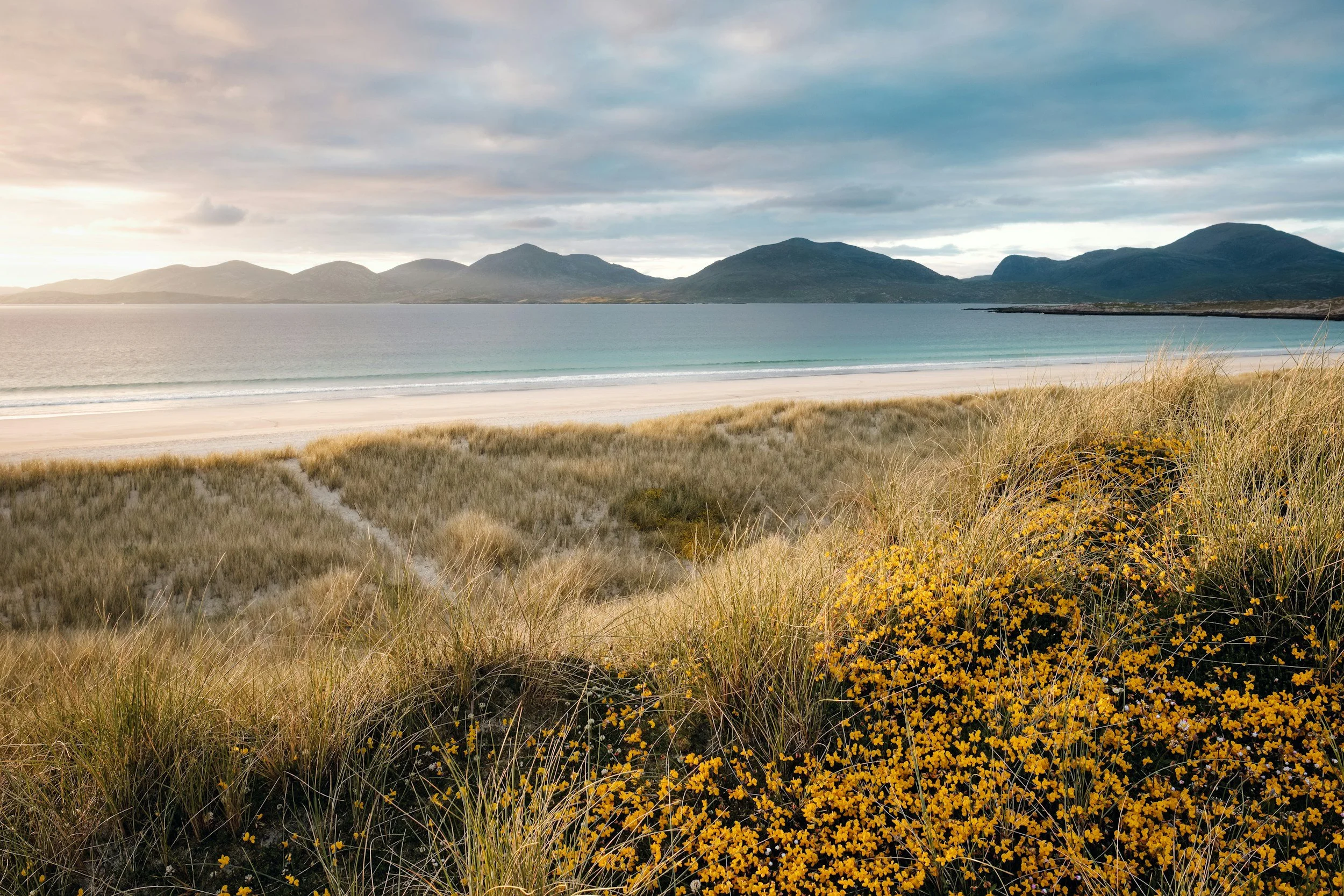 Nature Journaling in the Hebrides Islands Scotland