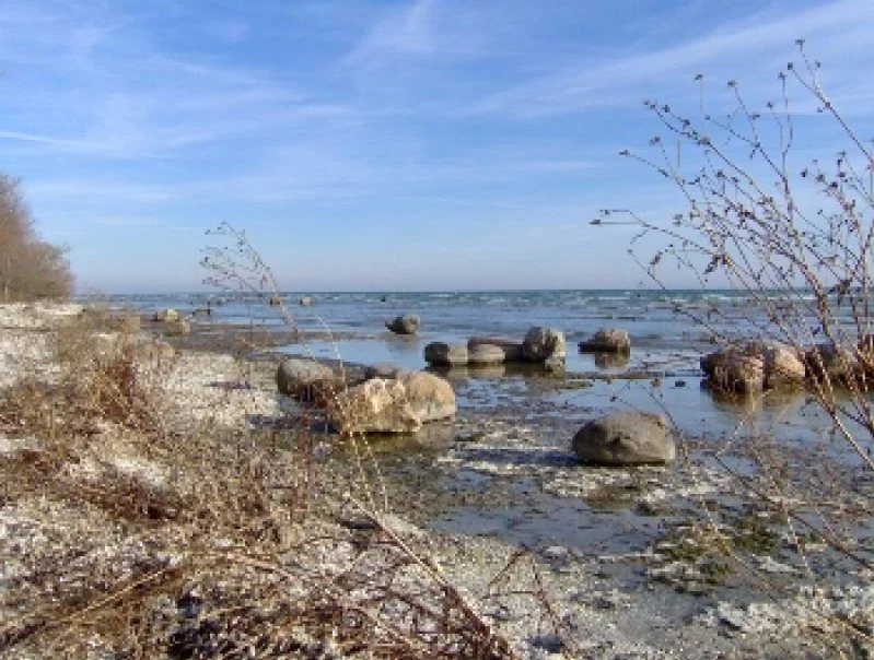 A rocky beach with scattered large stones and sparse dried vegetation under a blue sky with wispy clouds.