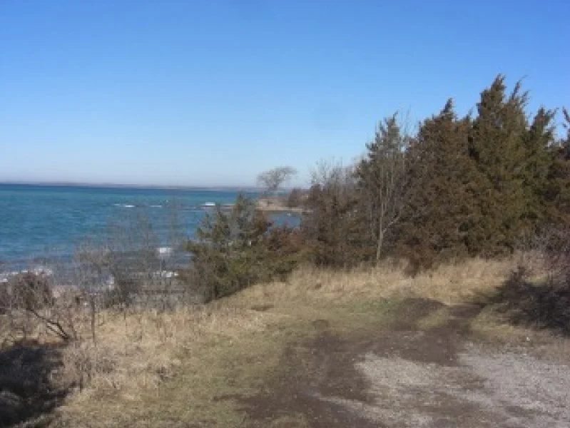 A coastal trail overlooking the ocean with dry grass, trees, and blue sky.