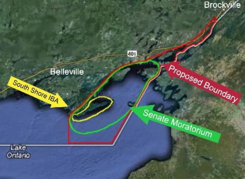 Proposed park boundary
Parks Canada suggested having the park boundary extend to the U.S. border. It could blend into to the Thousand Island National Park or be a separate entity.