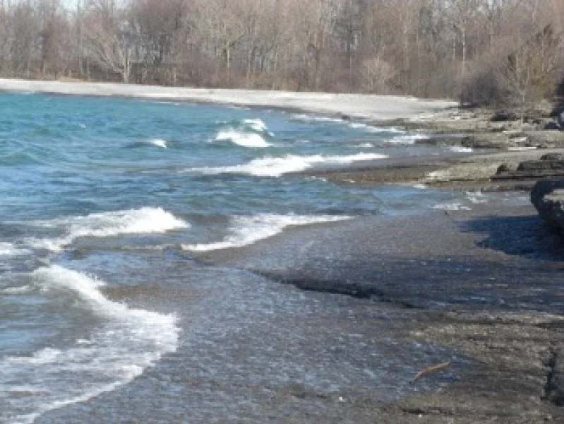 View of a rocky shoreline with small waves gently crashing on the beach, and trees in the background under a clear sky.